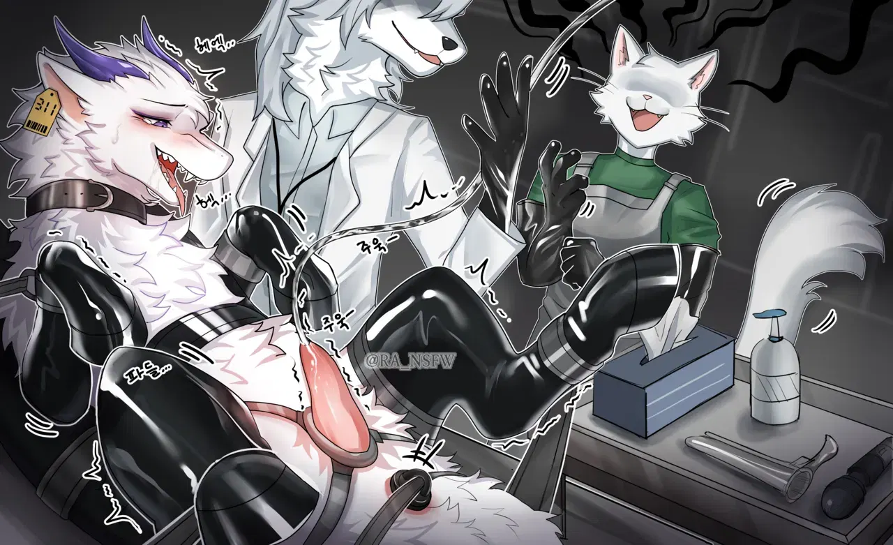 Image #31