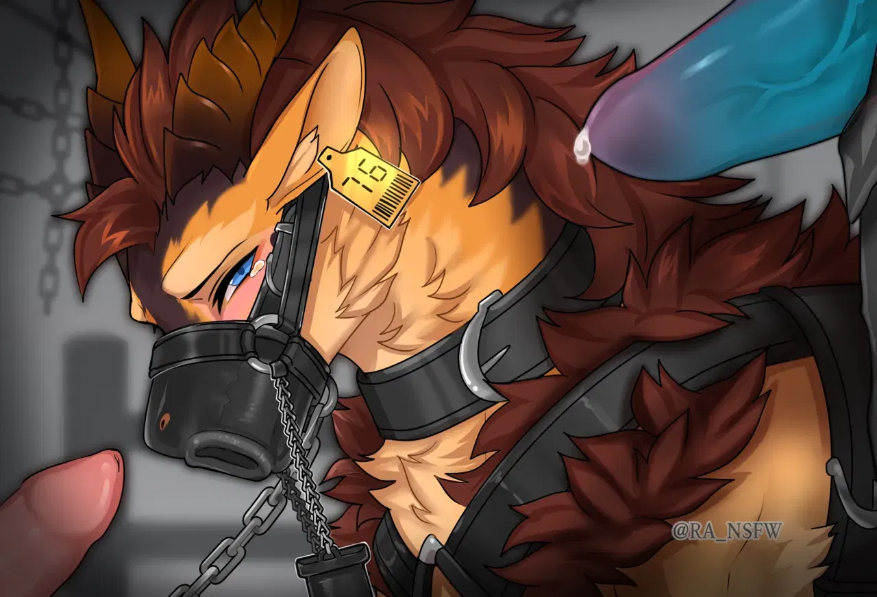 Image #62