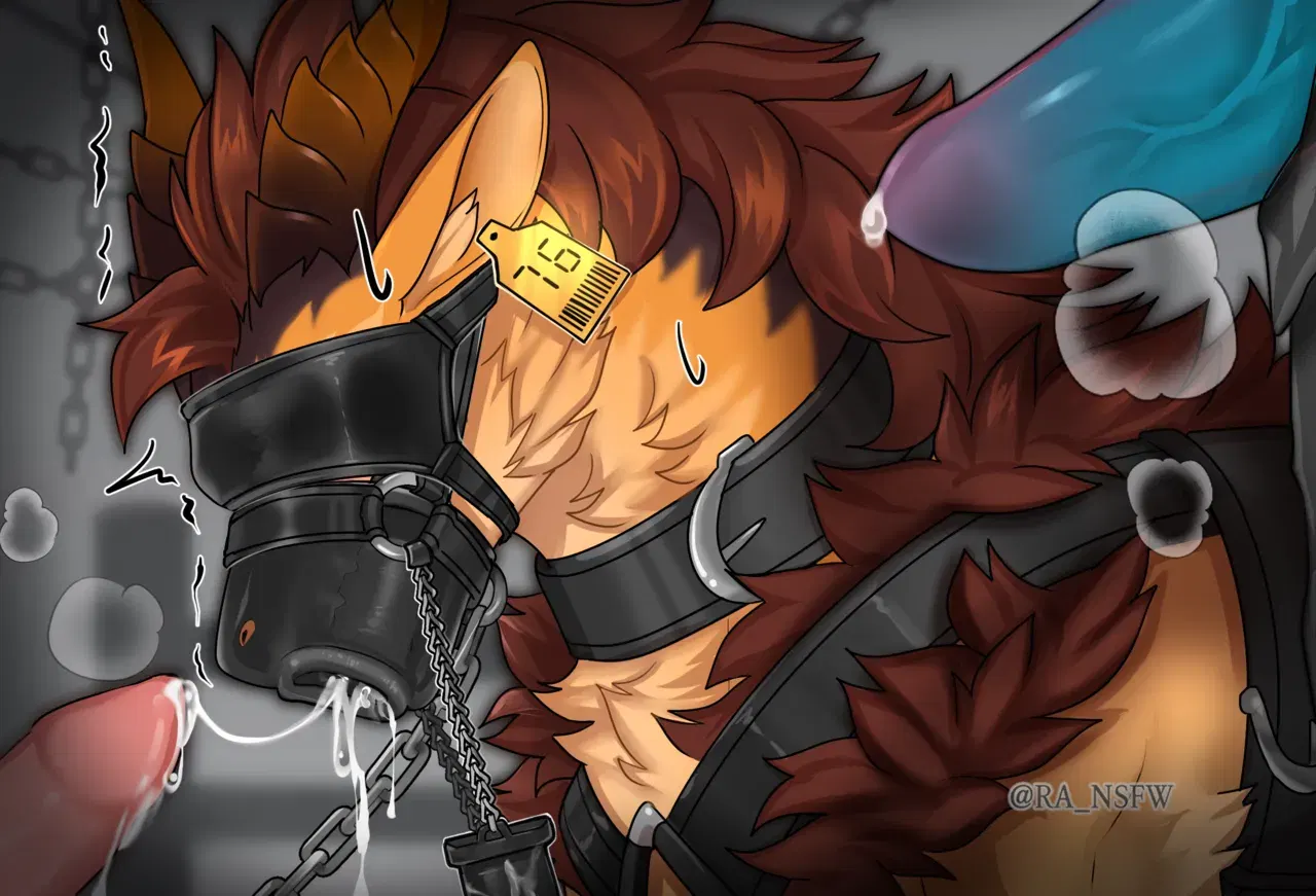 Image #64