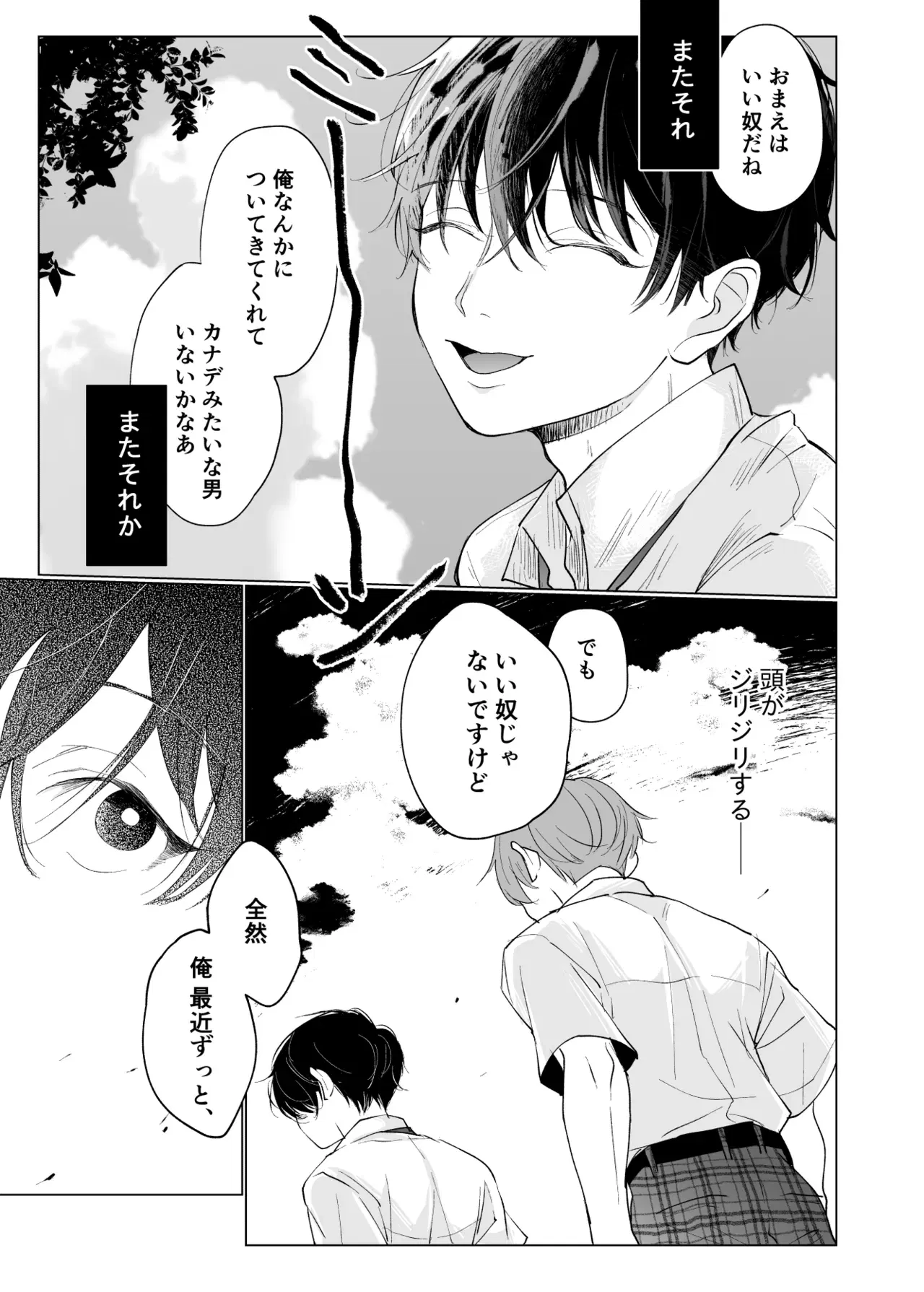 Image #12