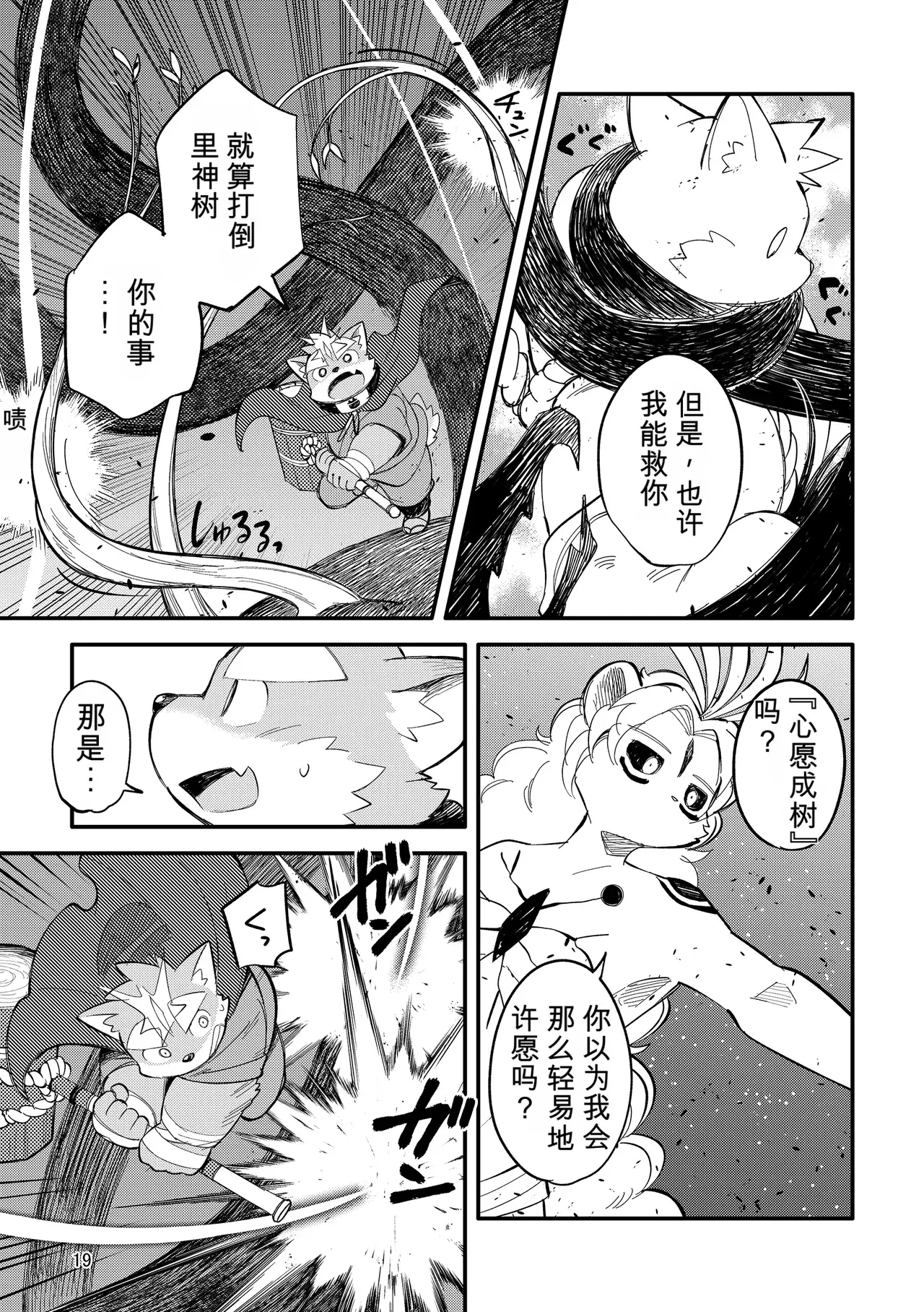 Image #19