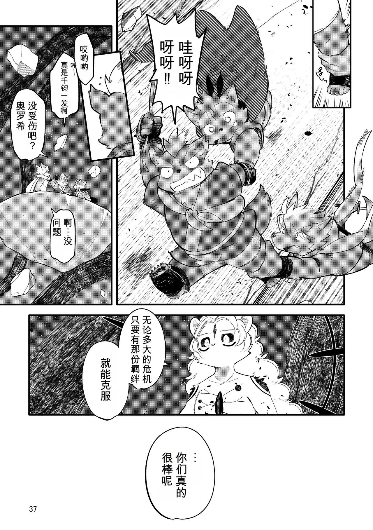 Image #37