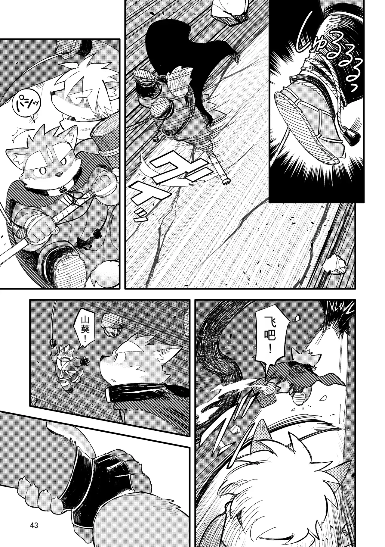 Image #43