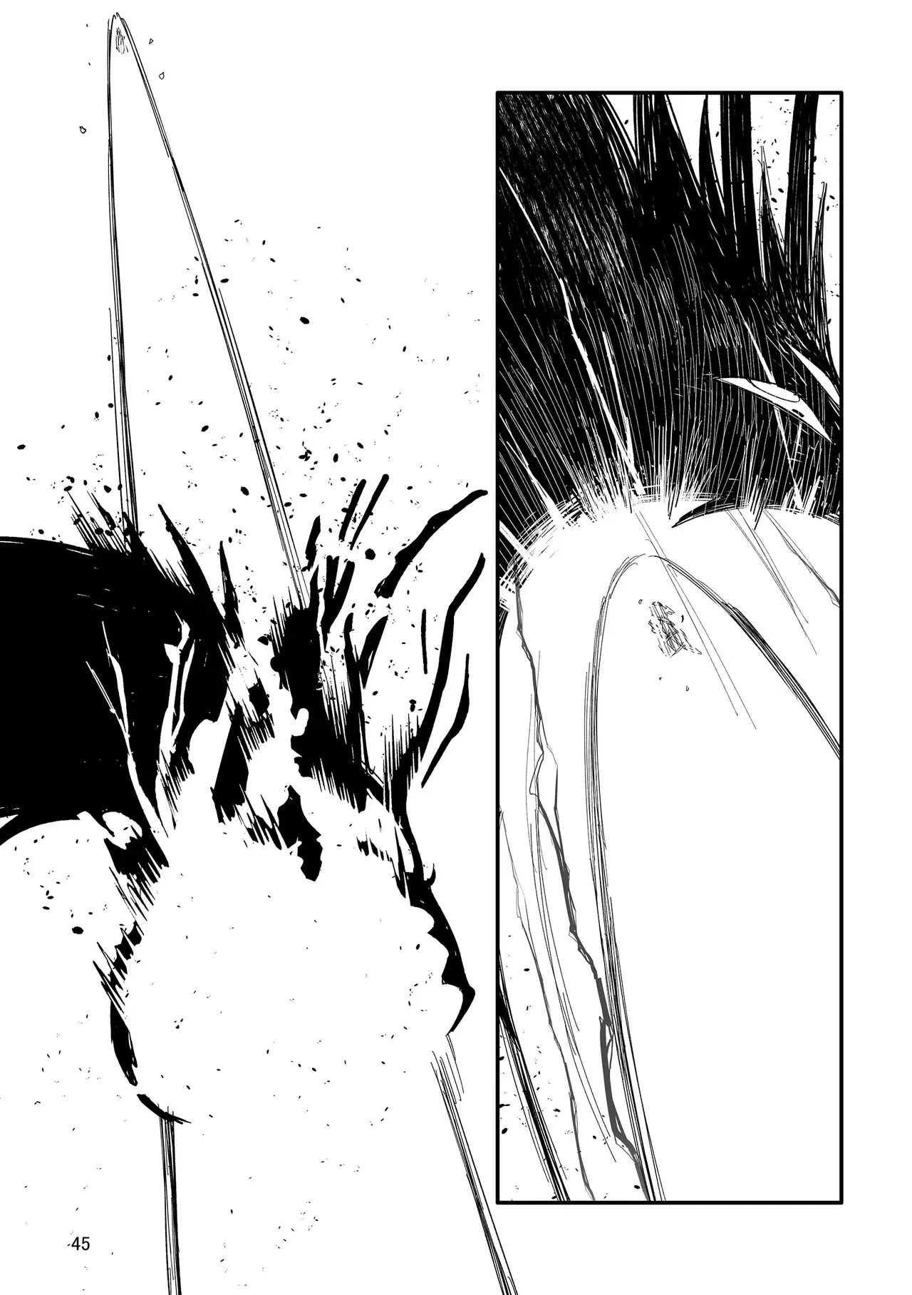 Image #45
