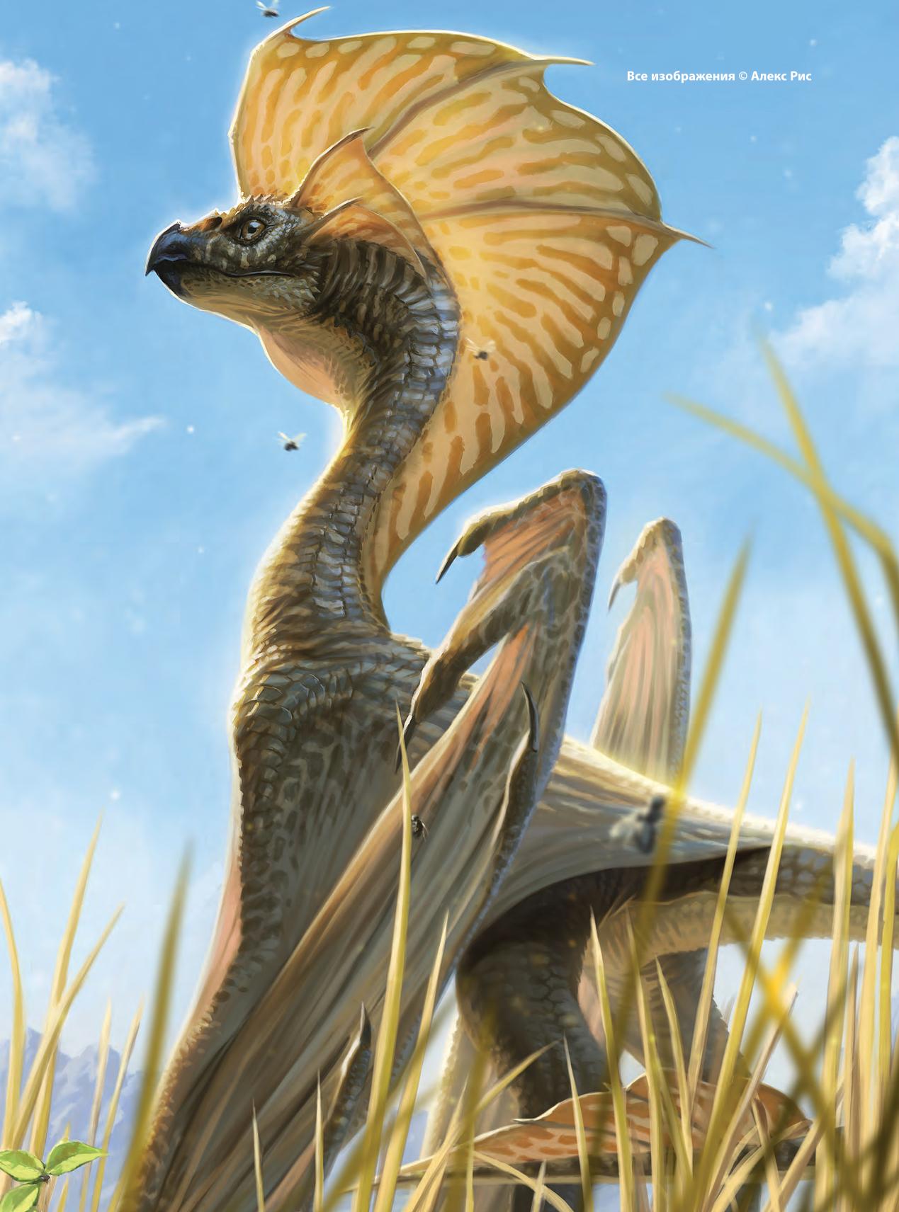 Image #10
