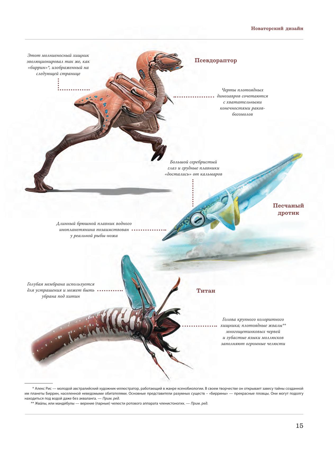 Image #16