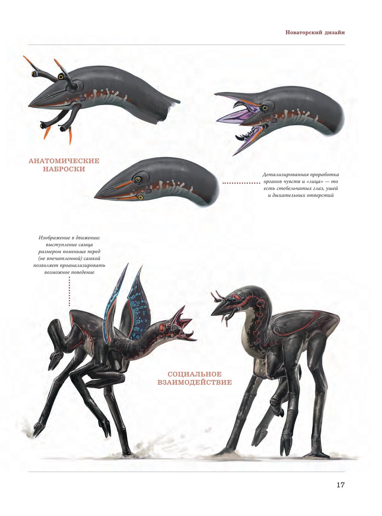 Image #18
