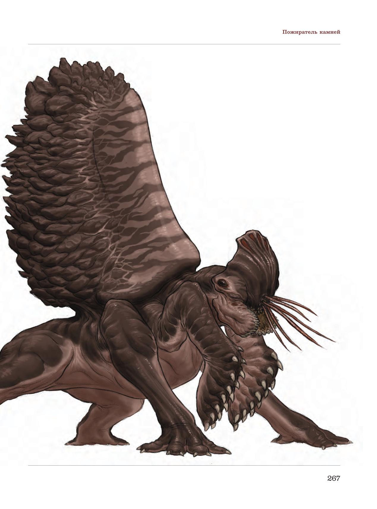 Image #268
