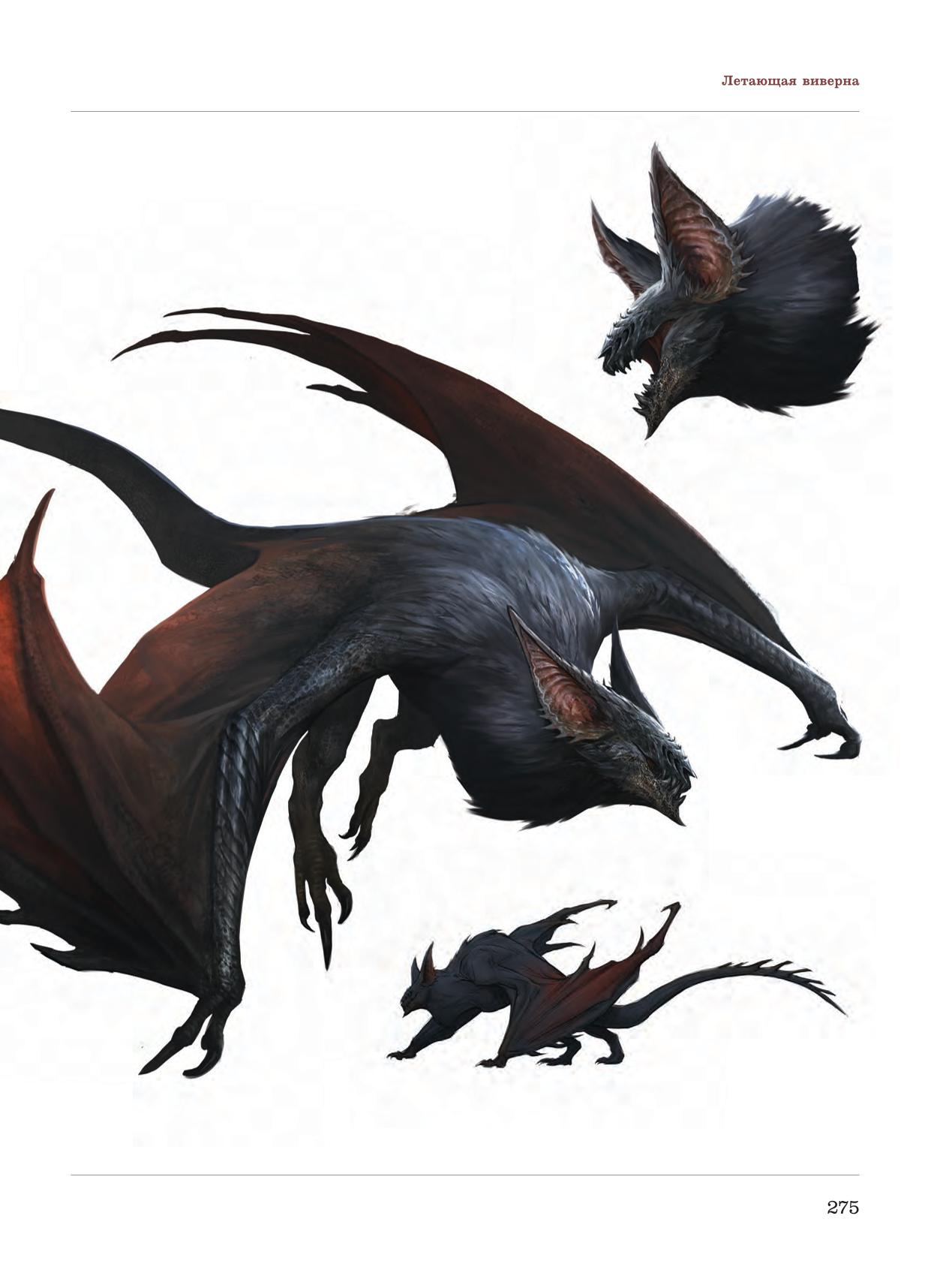 Image #276
