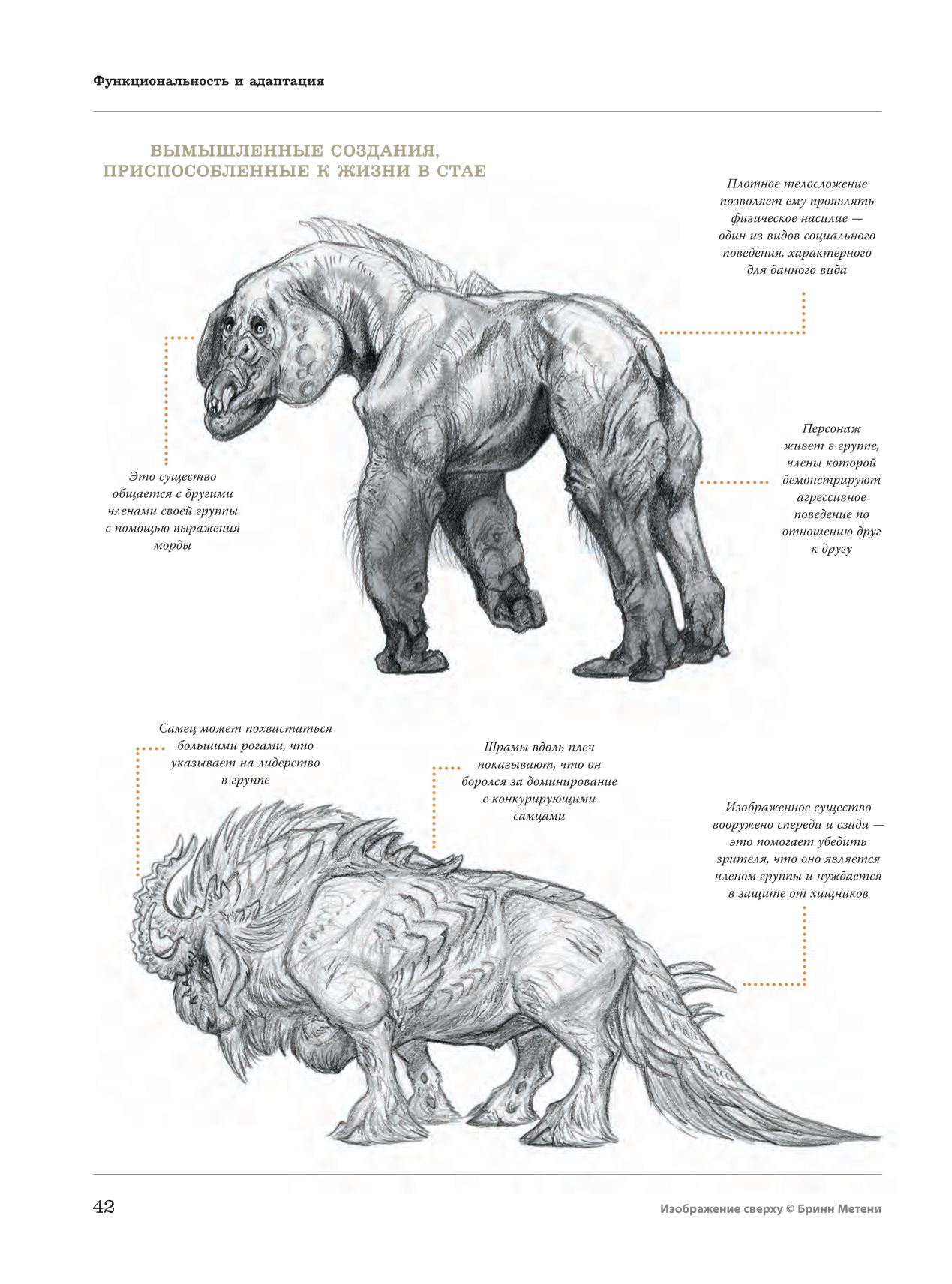 Image #43