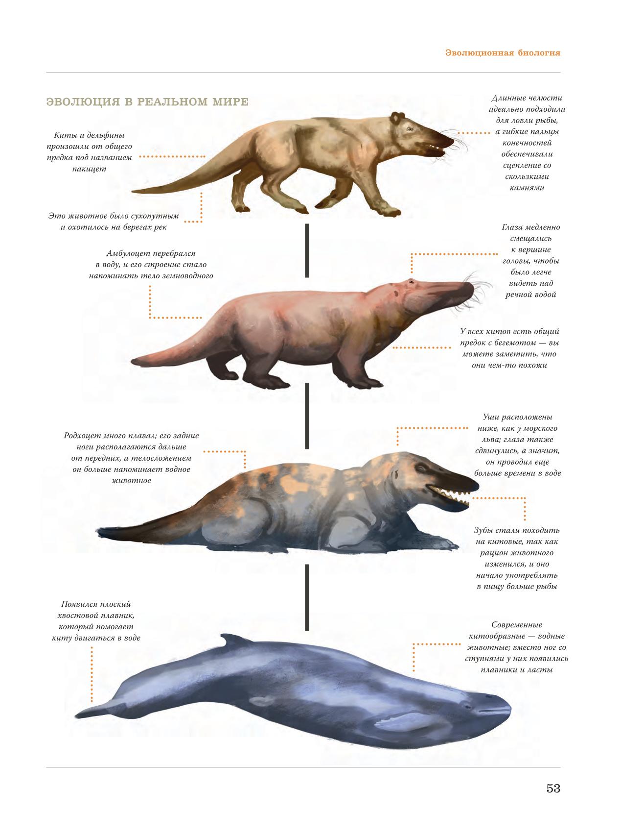 Image #54