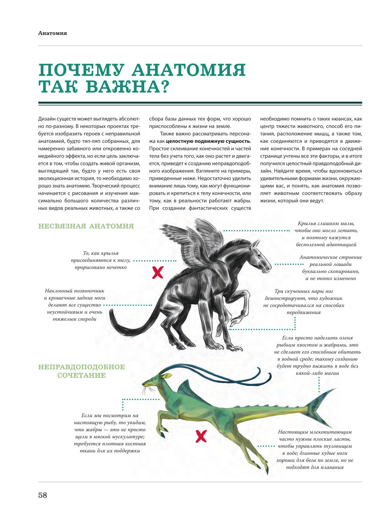Image #59