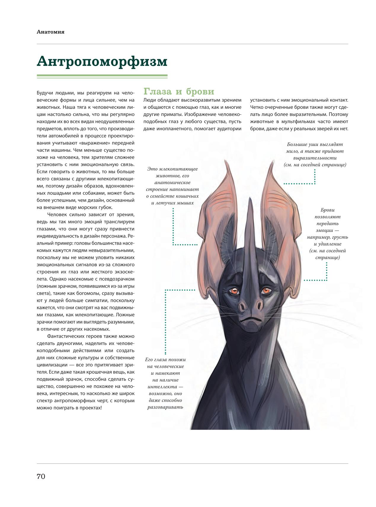 Image #71
