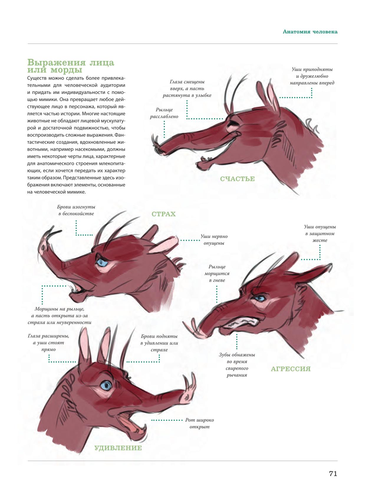 Image #72