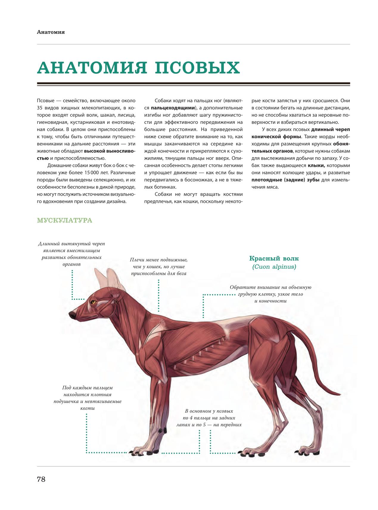 Image #79