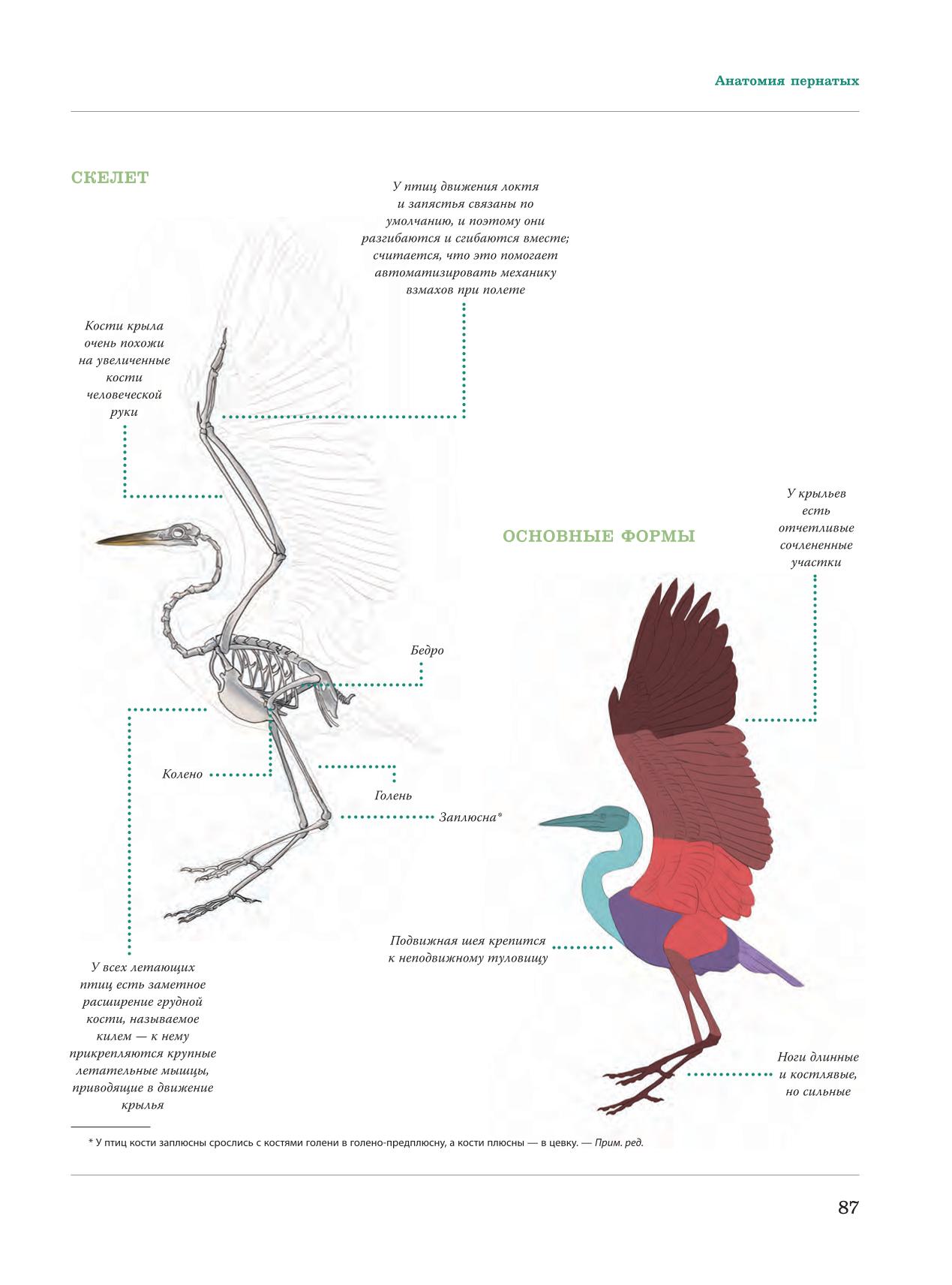 Image #88