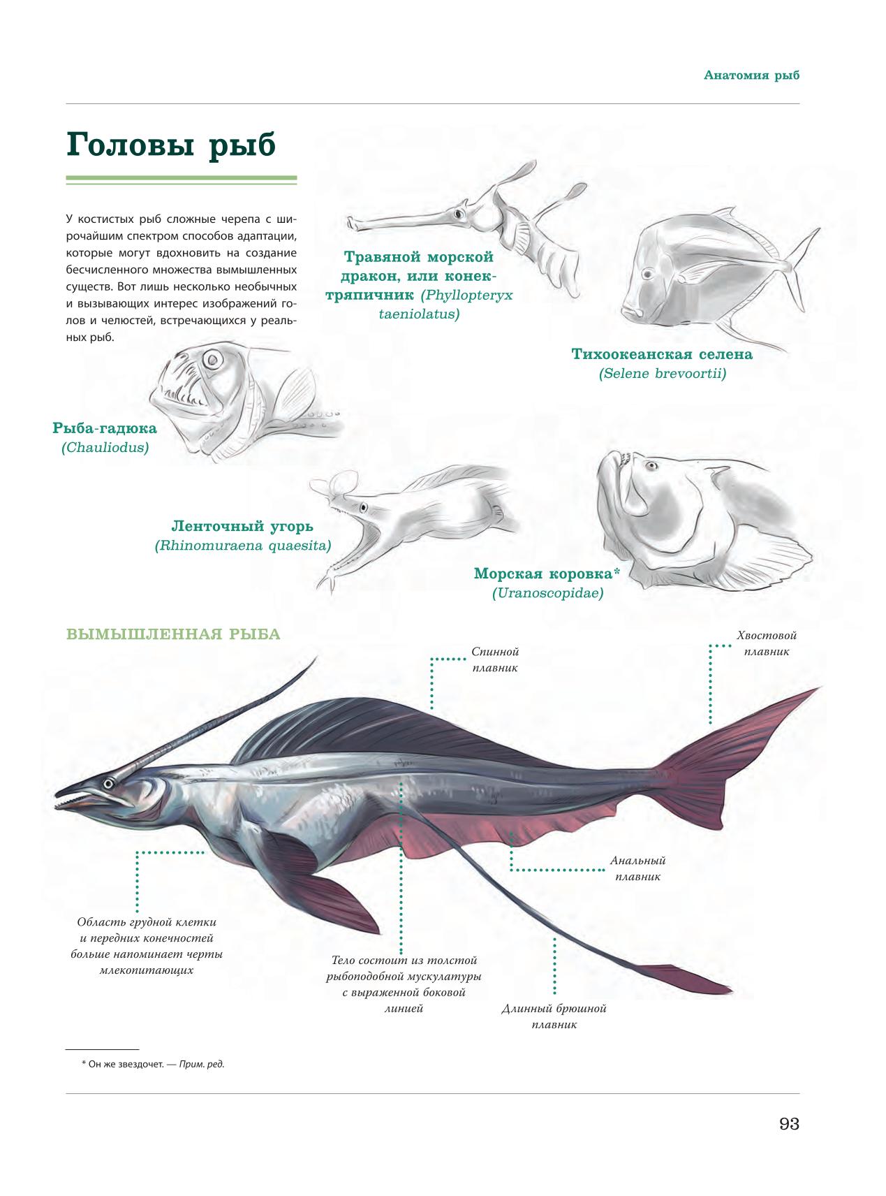 Image #94