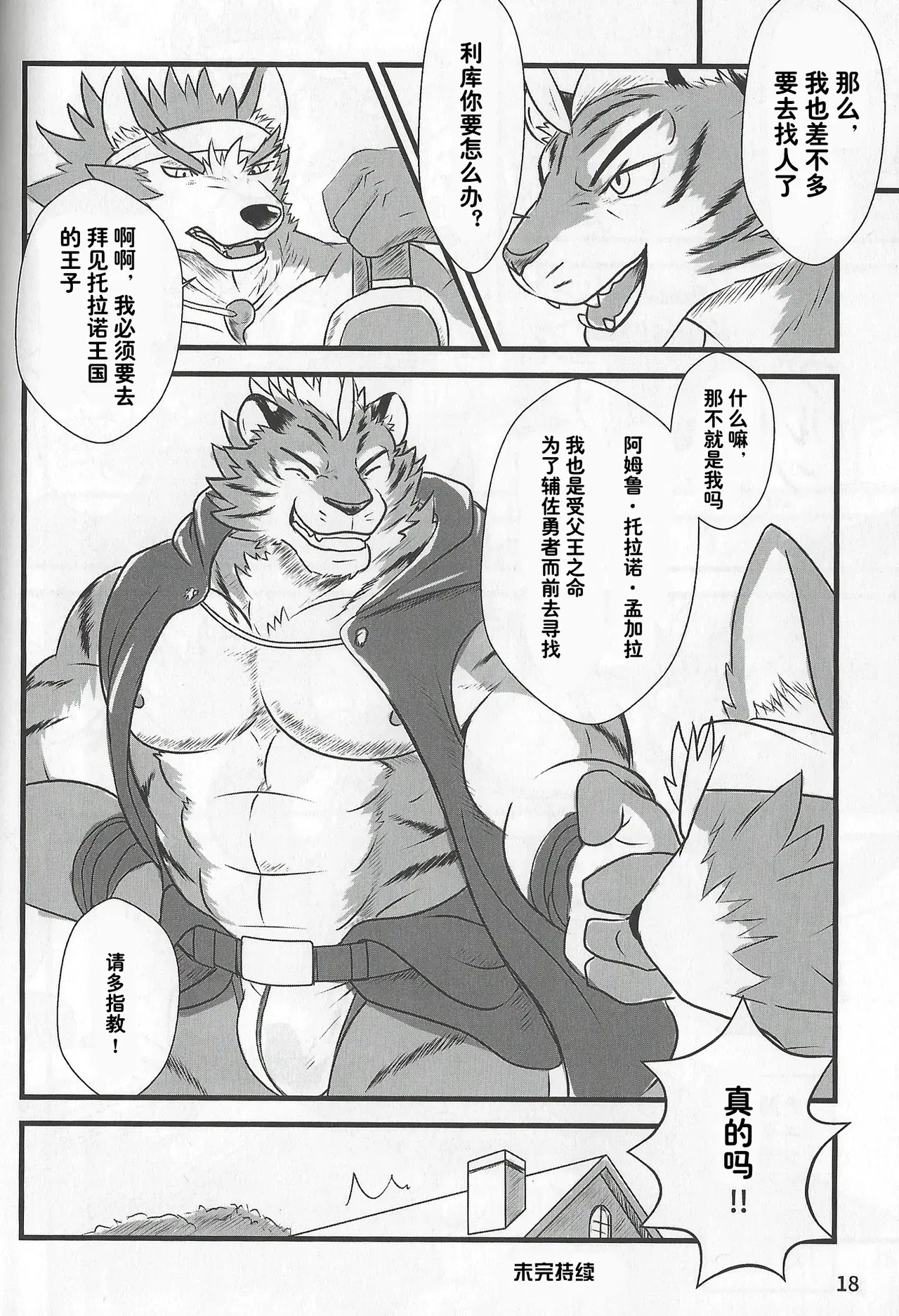 Image #17