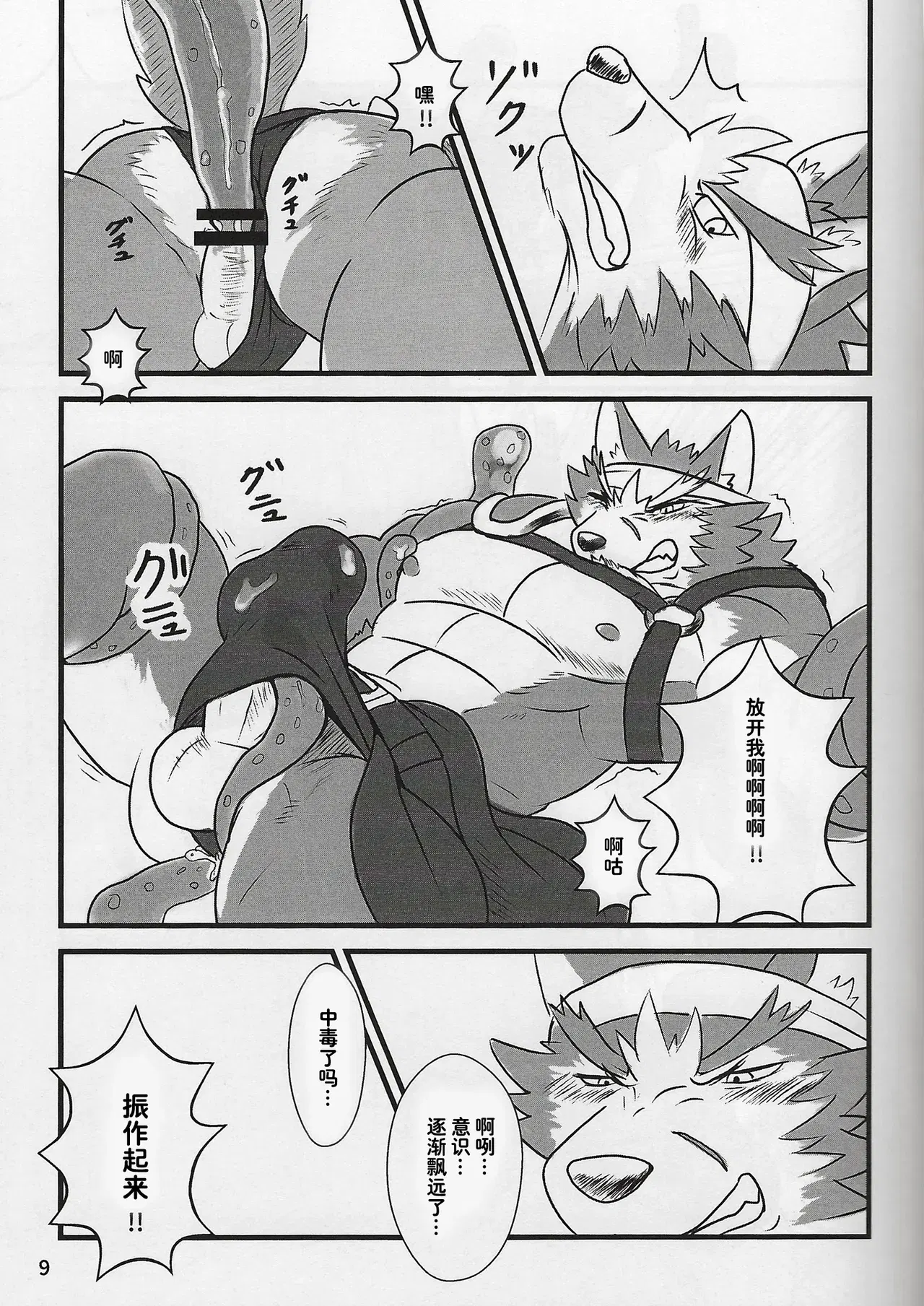 Image #8