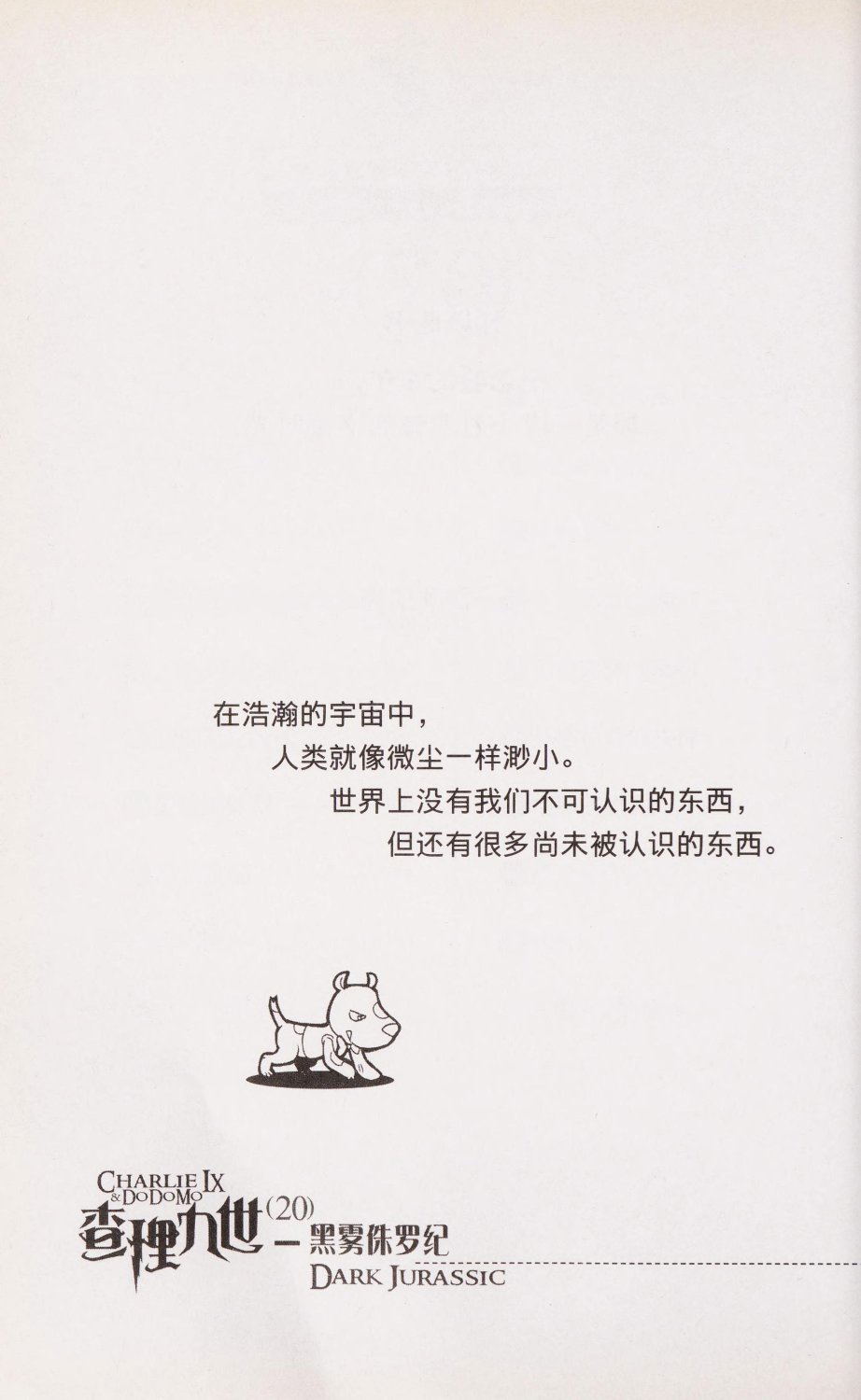 Image #9