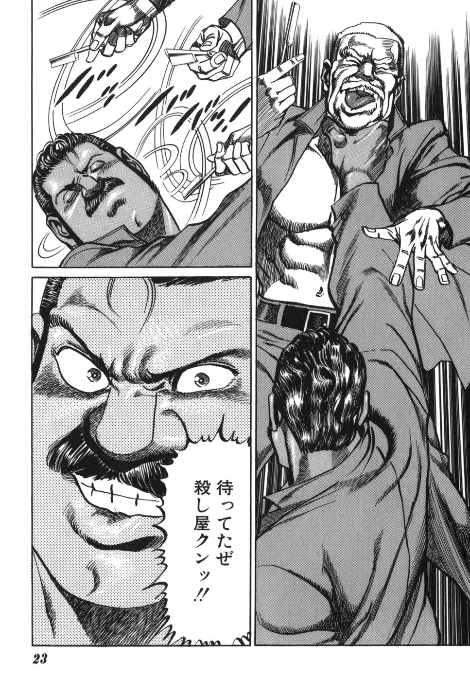 Image #23