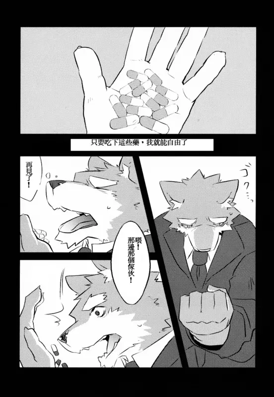 Image #40