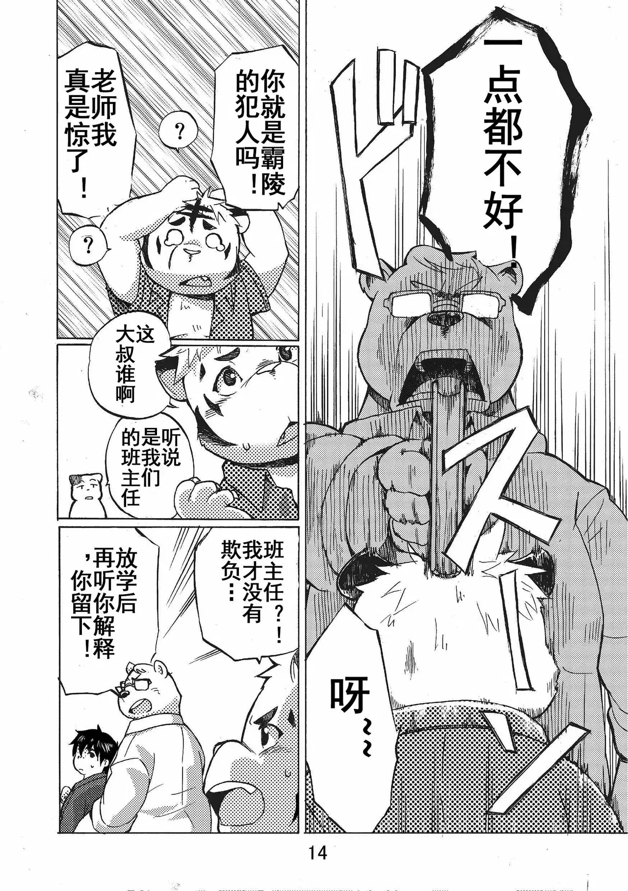 Image #14