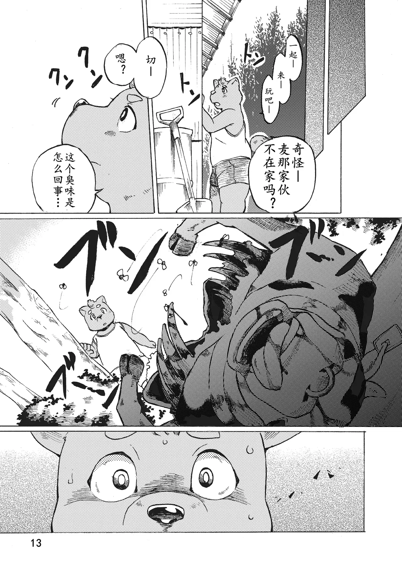 Image #14