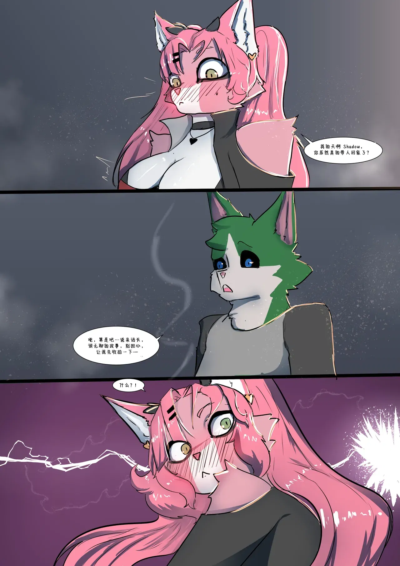 Image #10