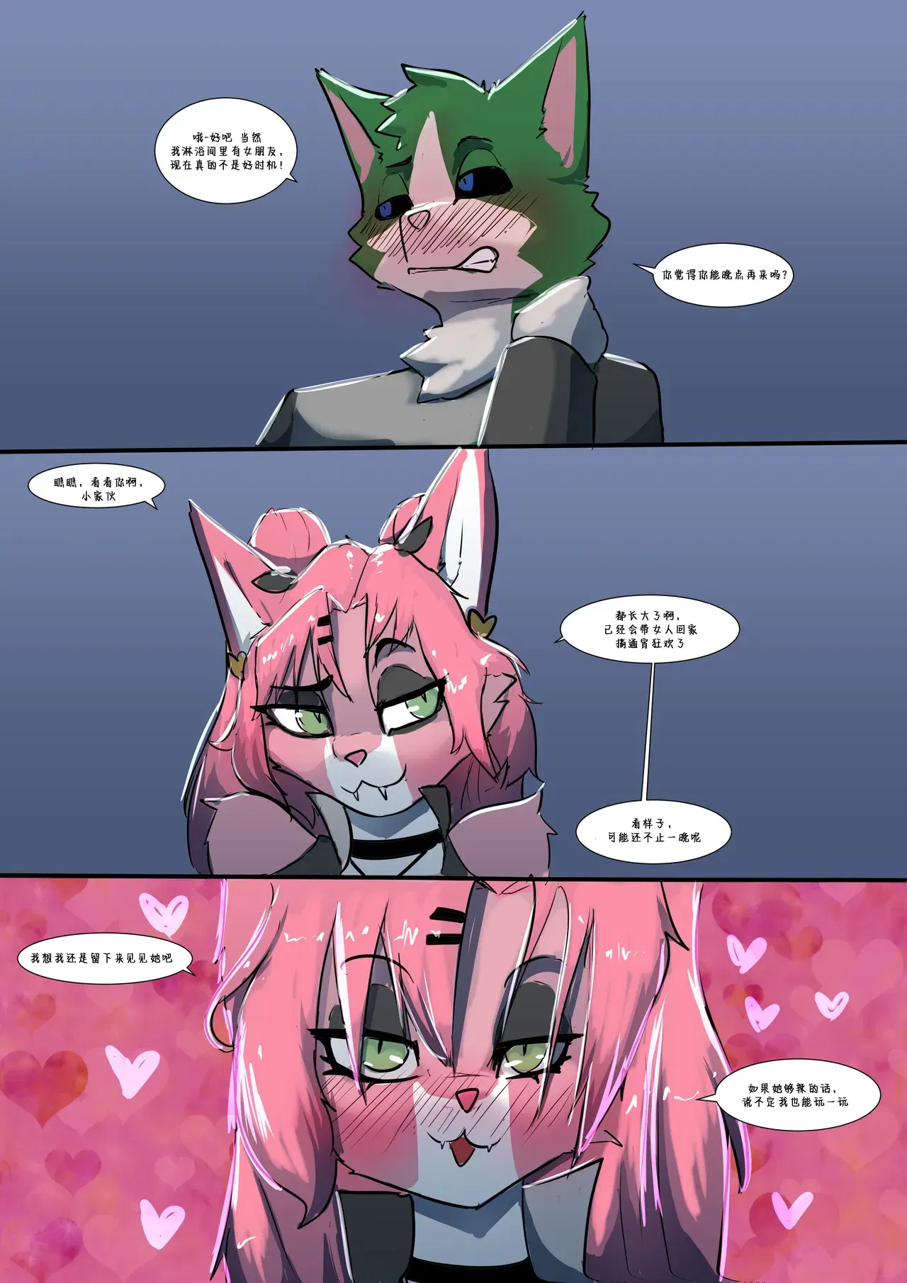 Image #13