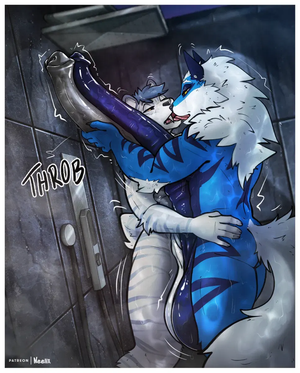 Image #21
