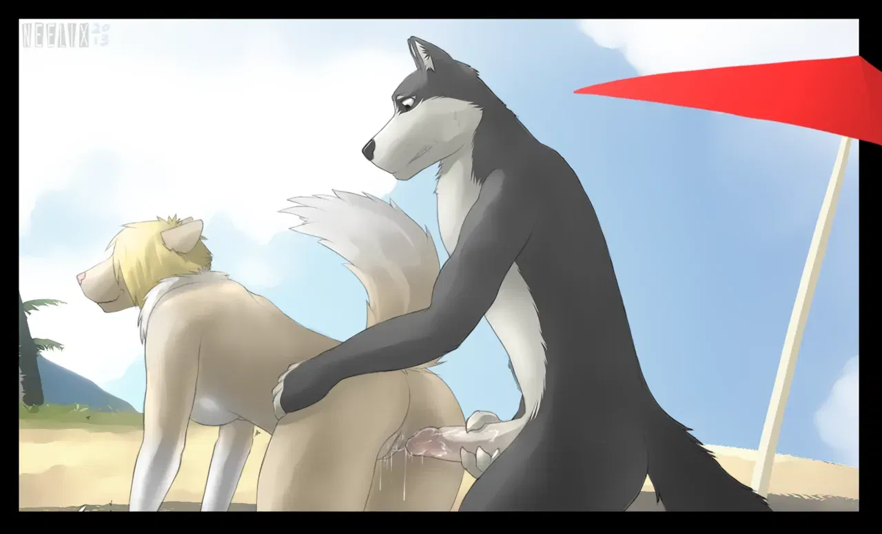 Image #227