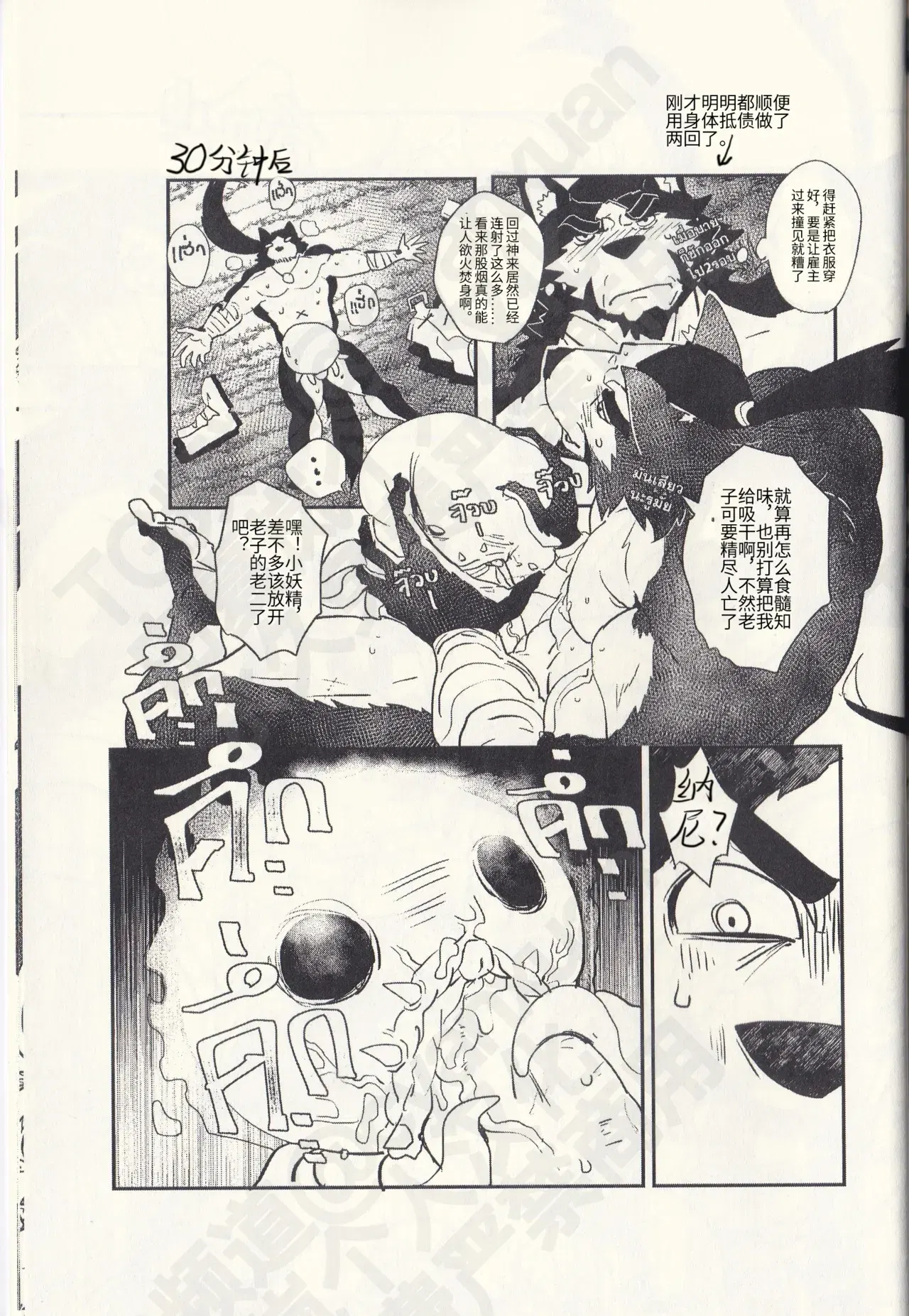 Image #11