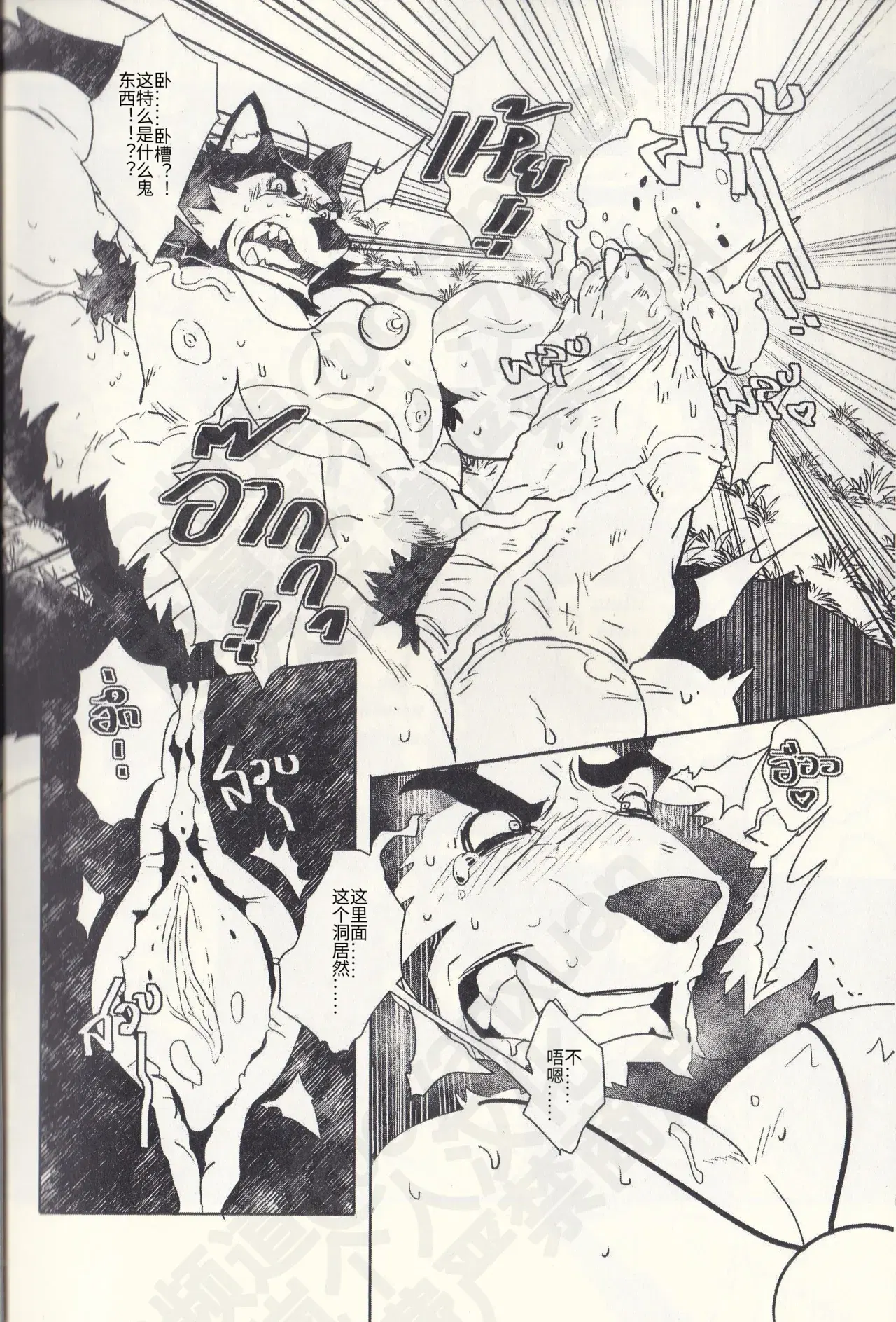 Image #12