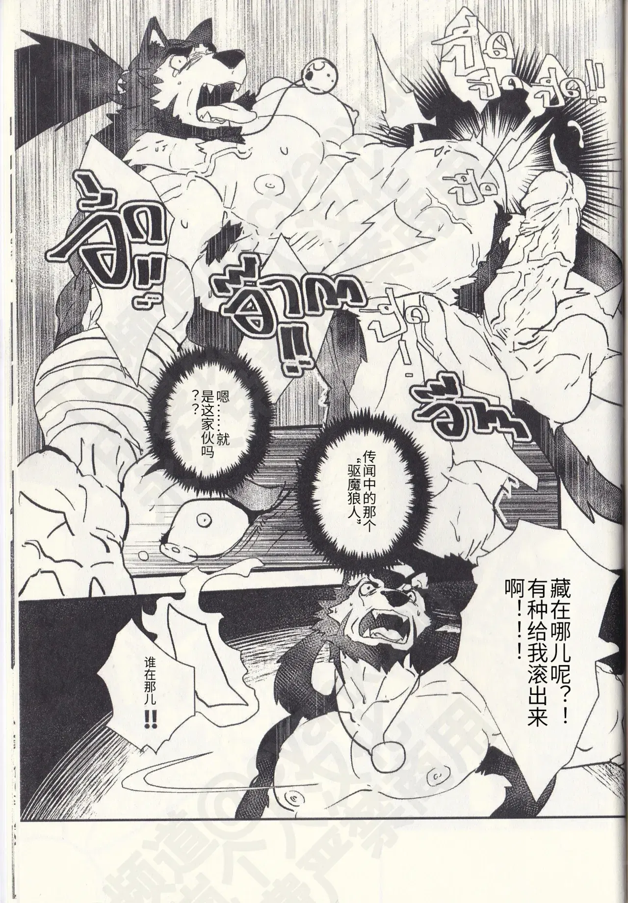 Image #13