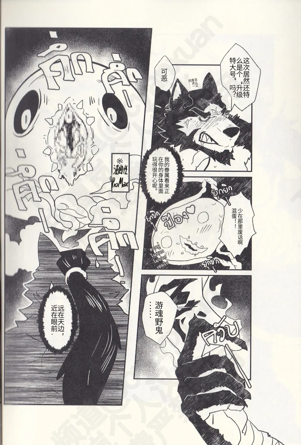 Image #14