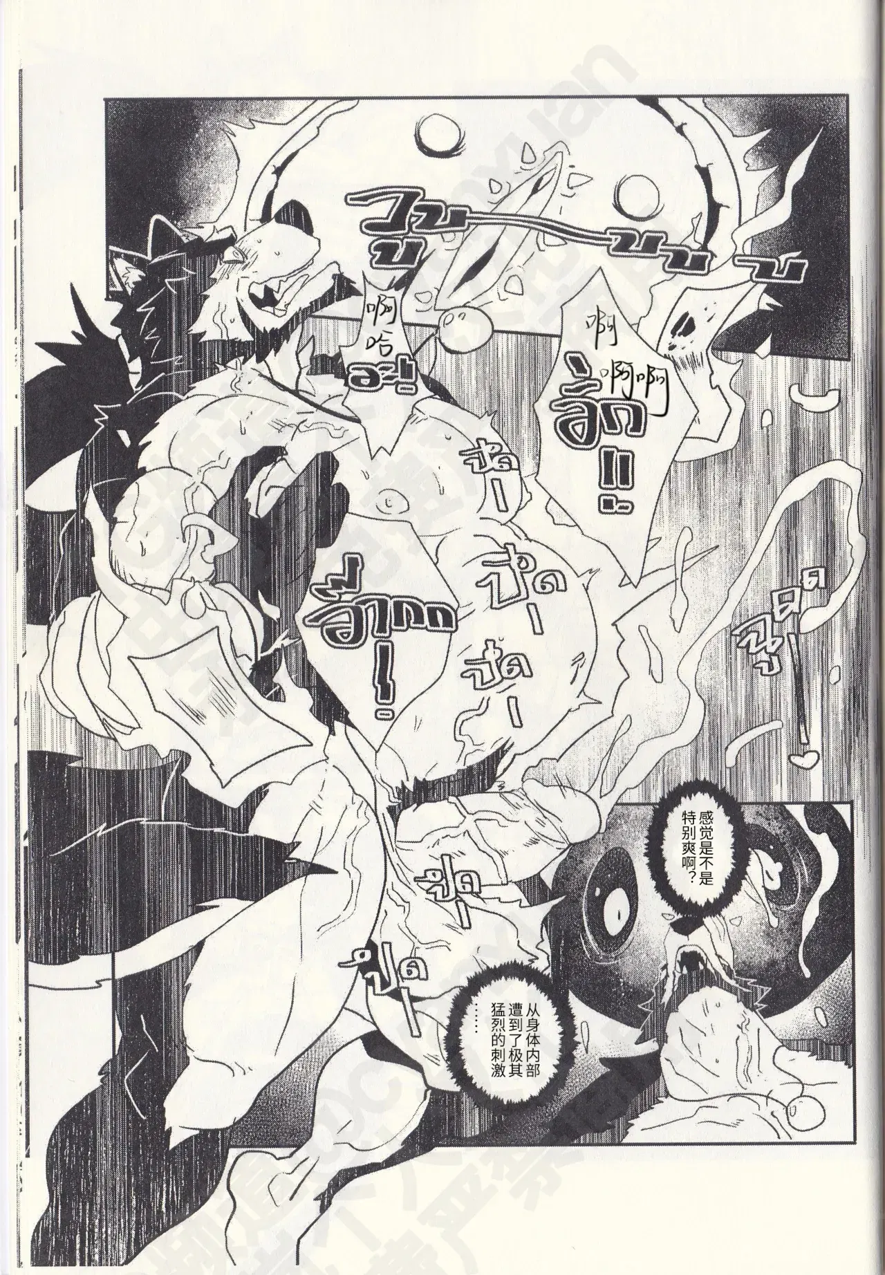 Image #15