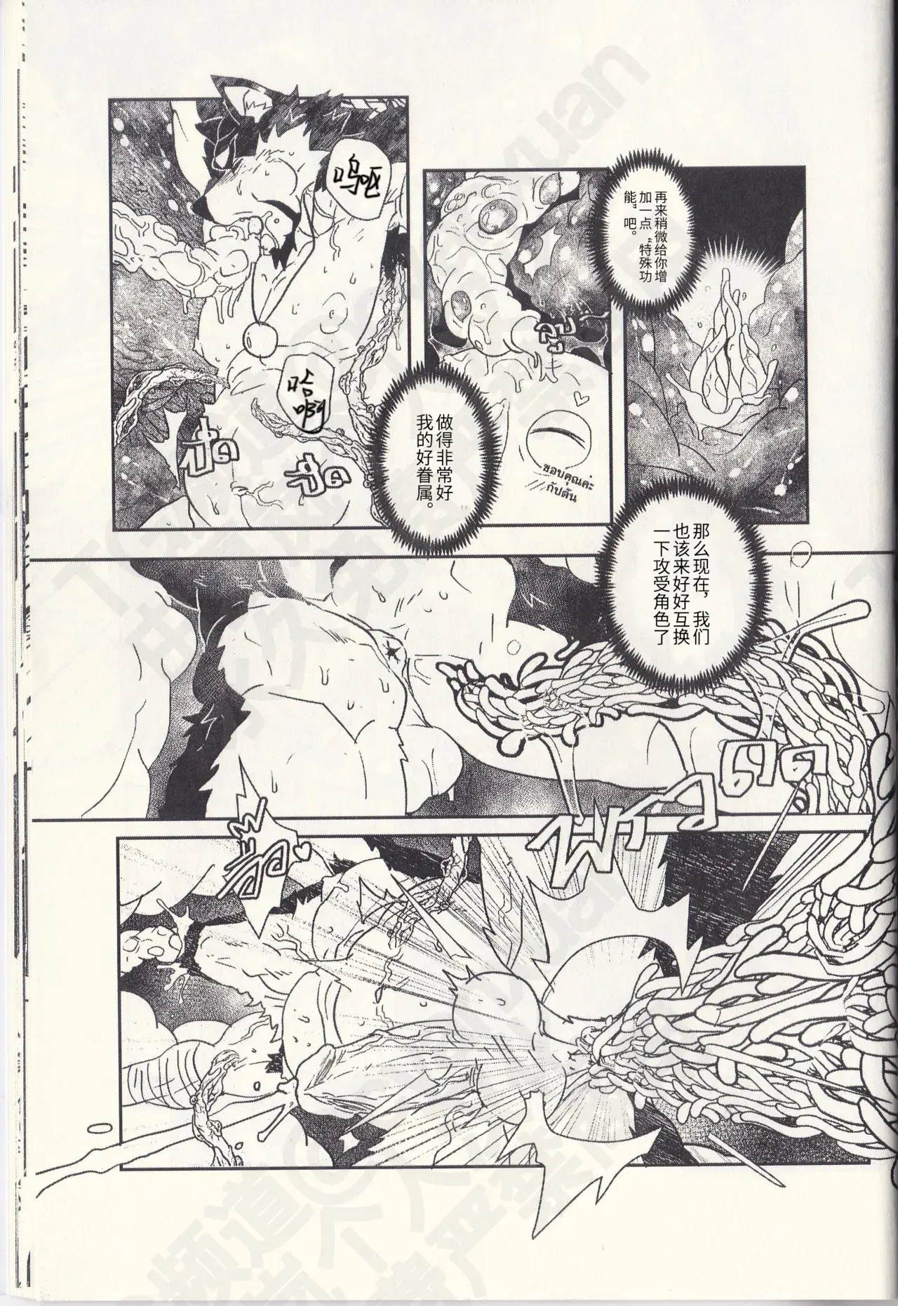 Image #19