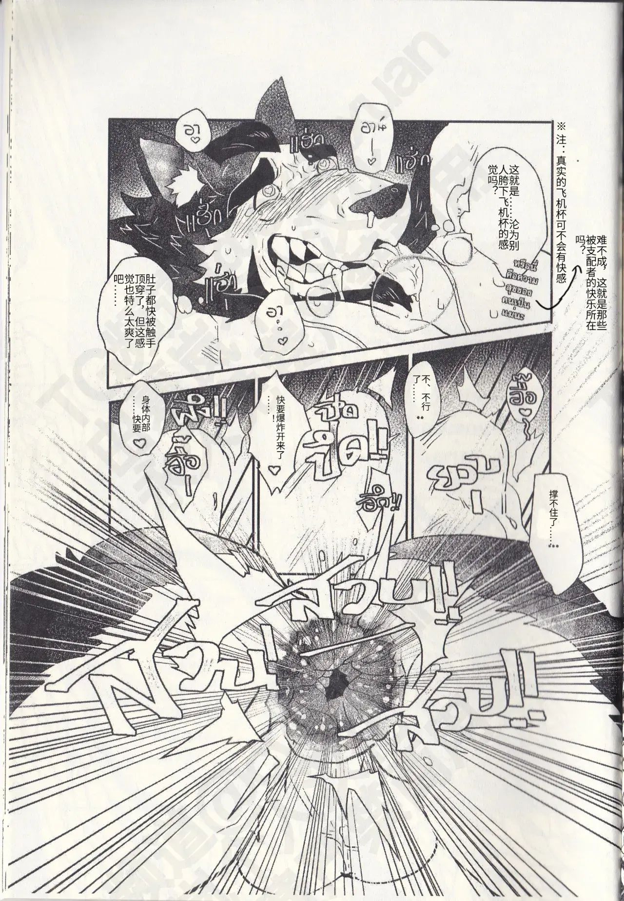 Image #21