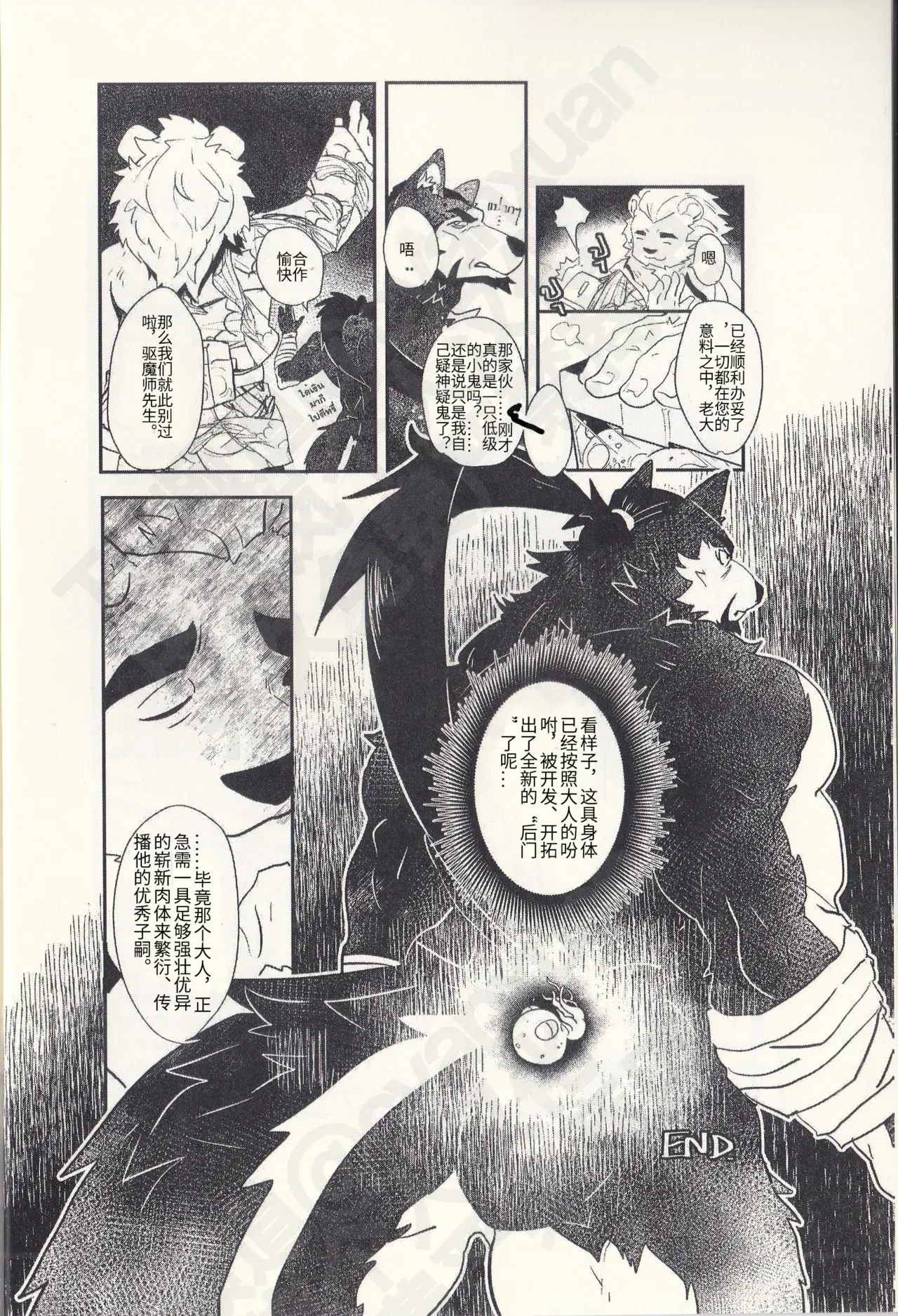 Image #26