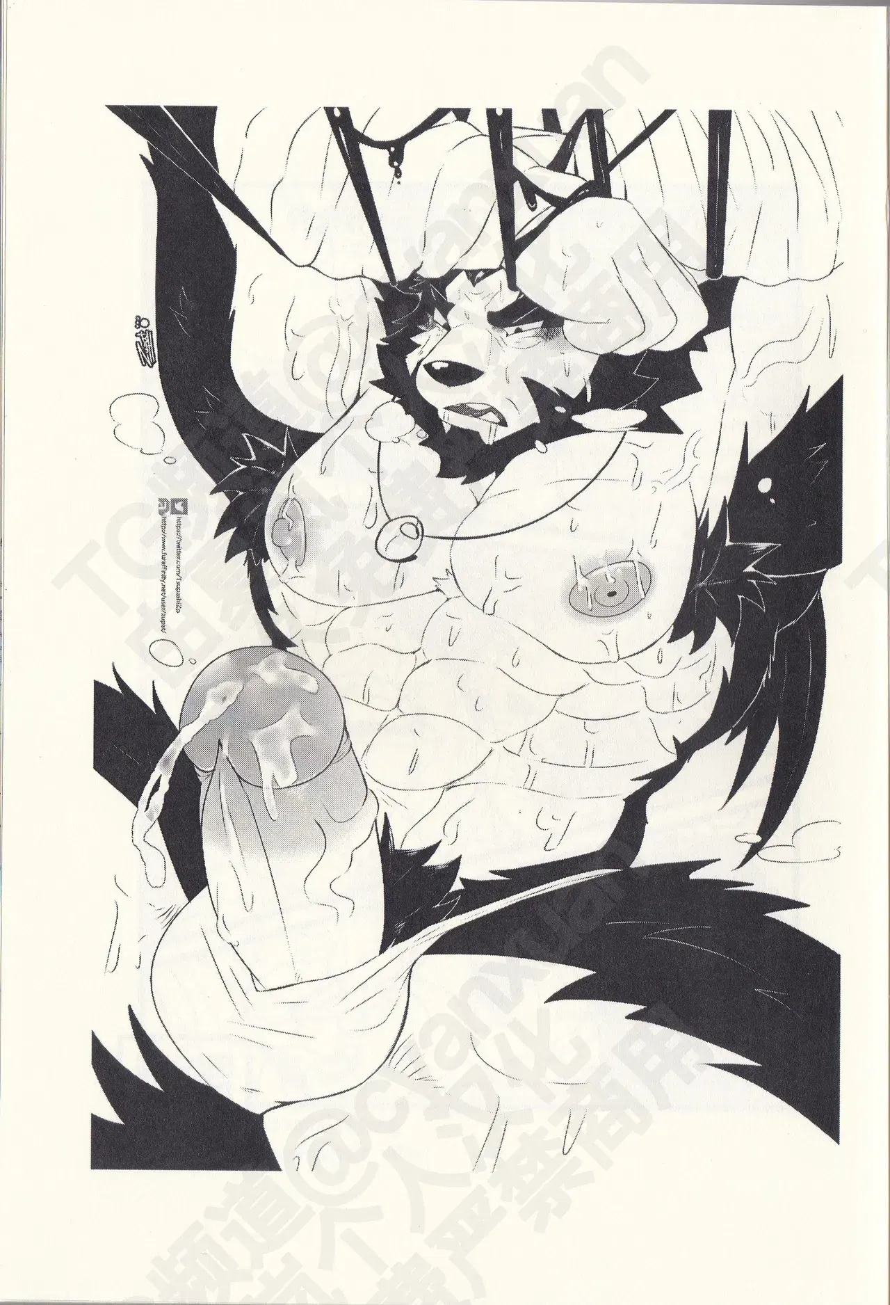 Image #29