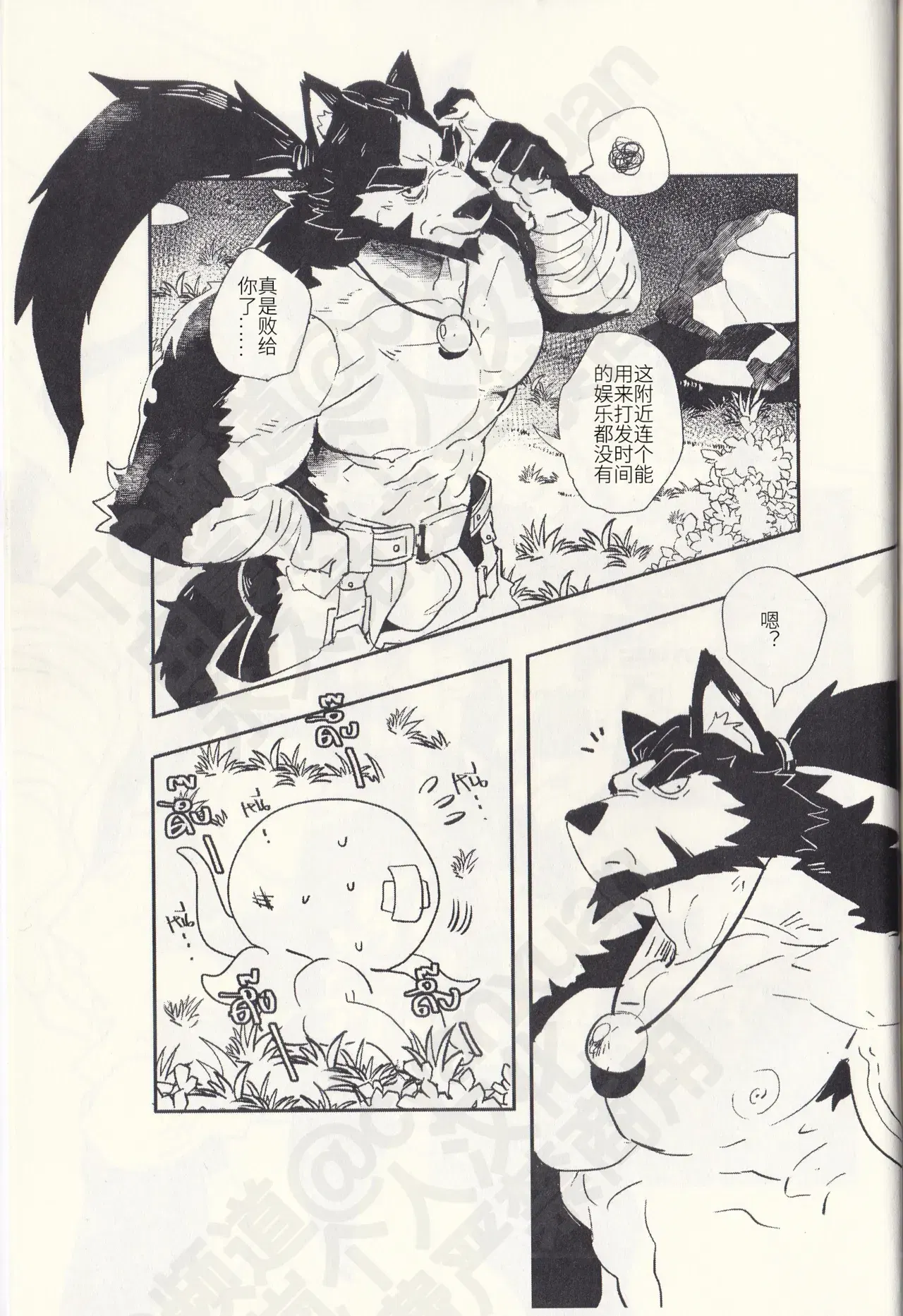 Image #5