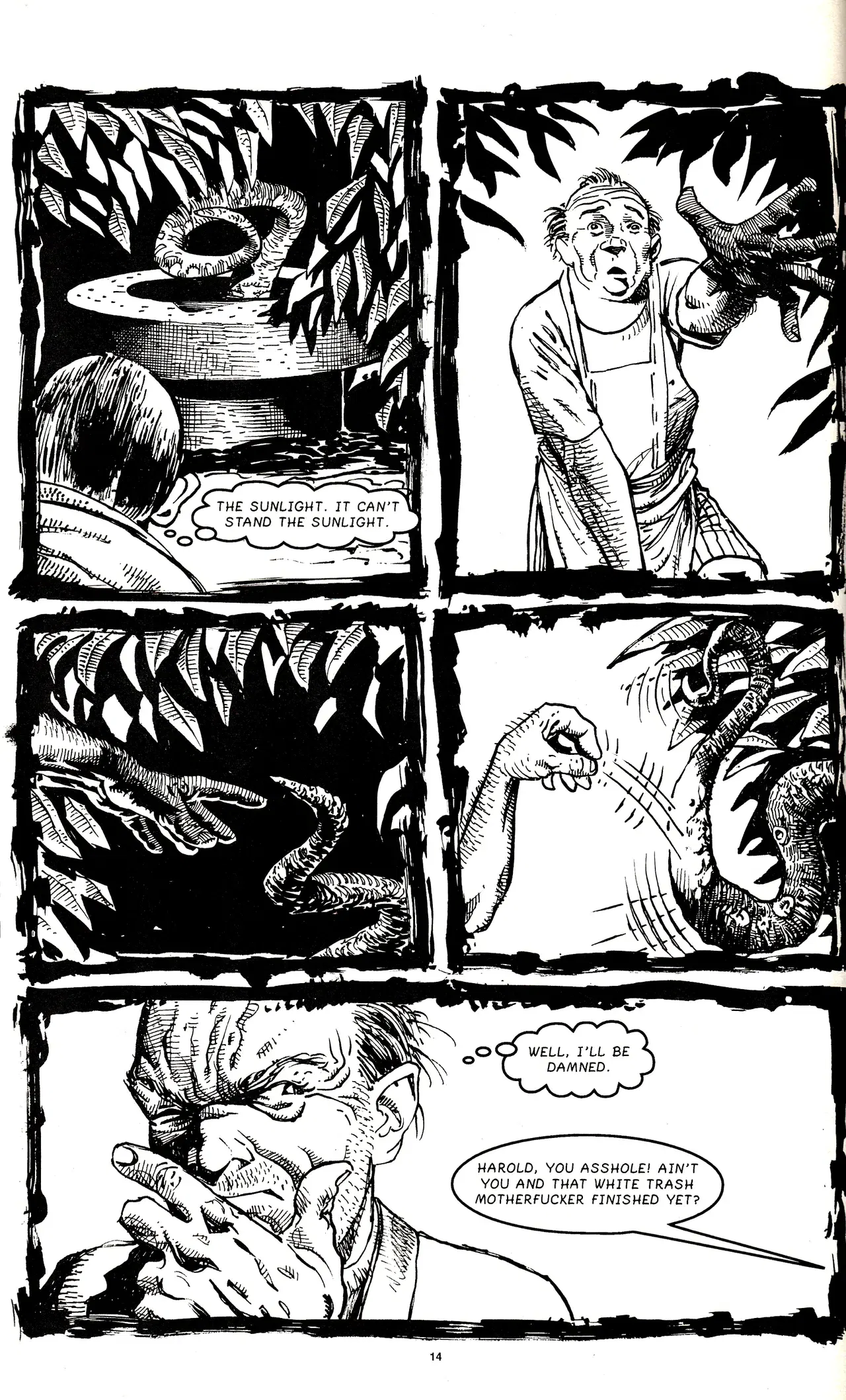 Image #16