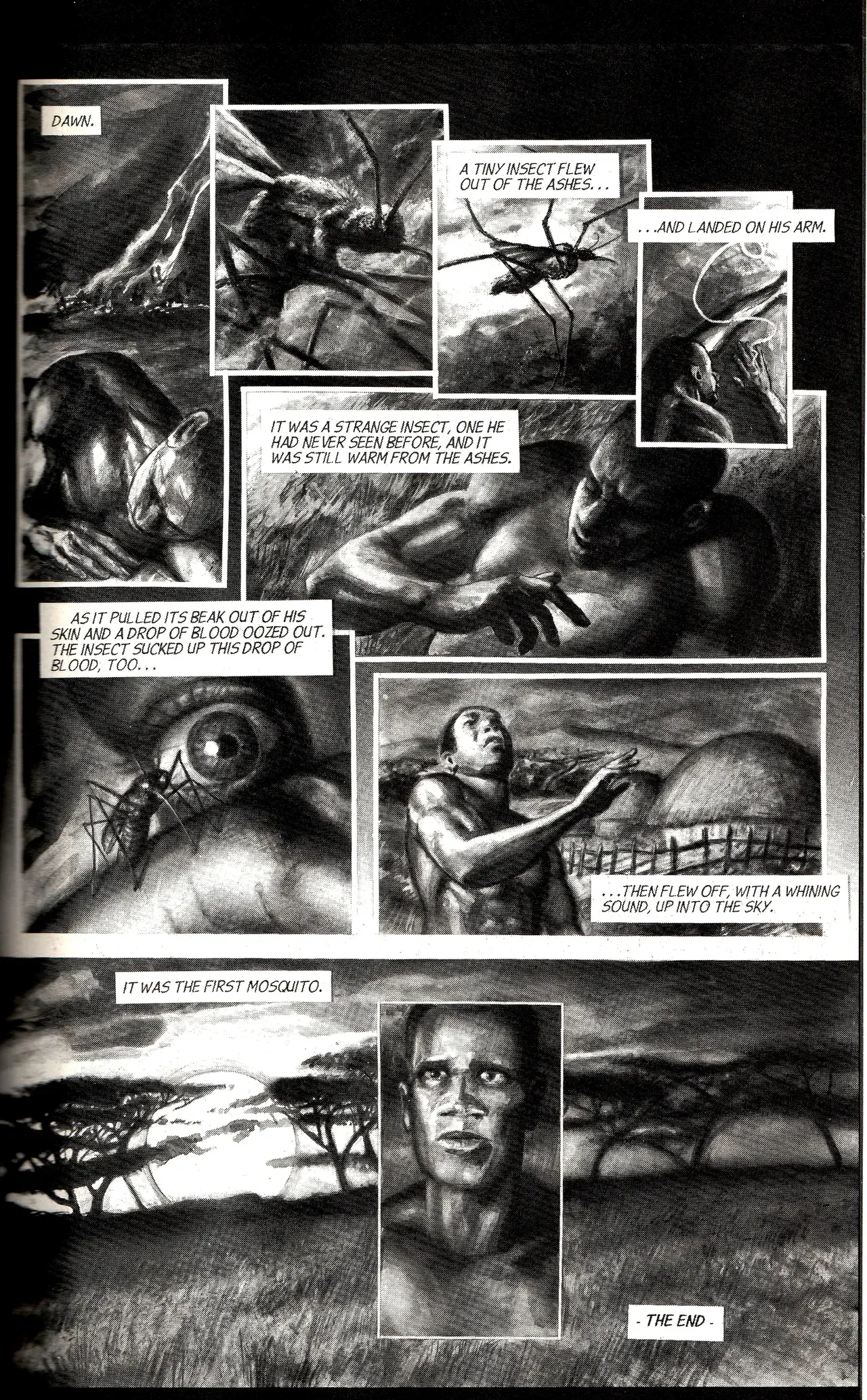 Image #31