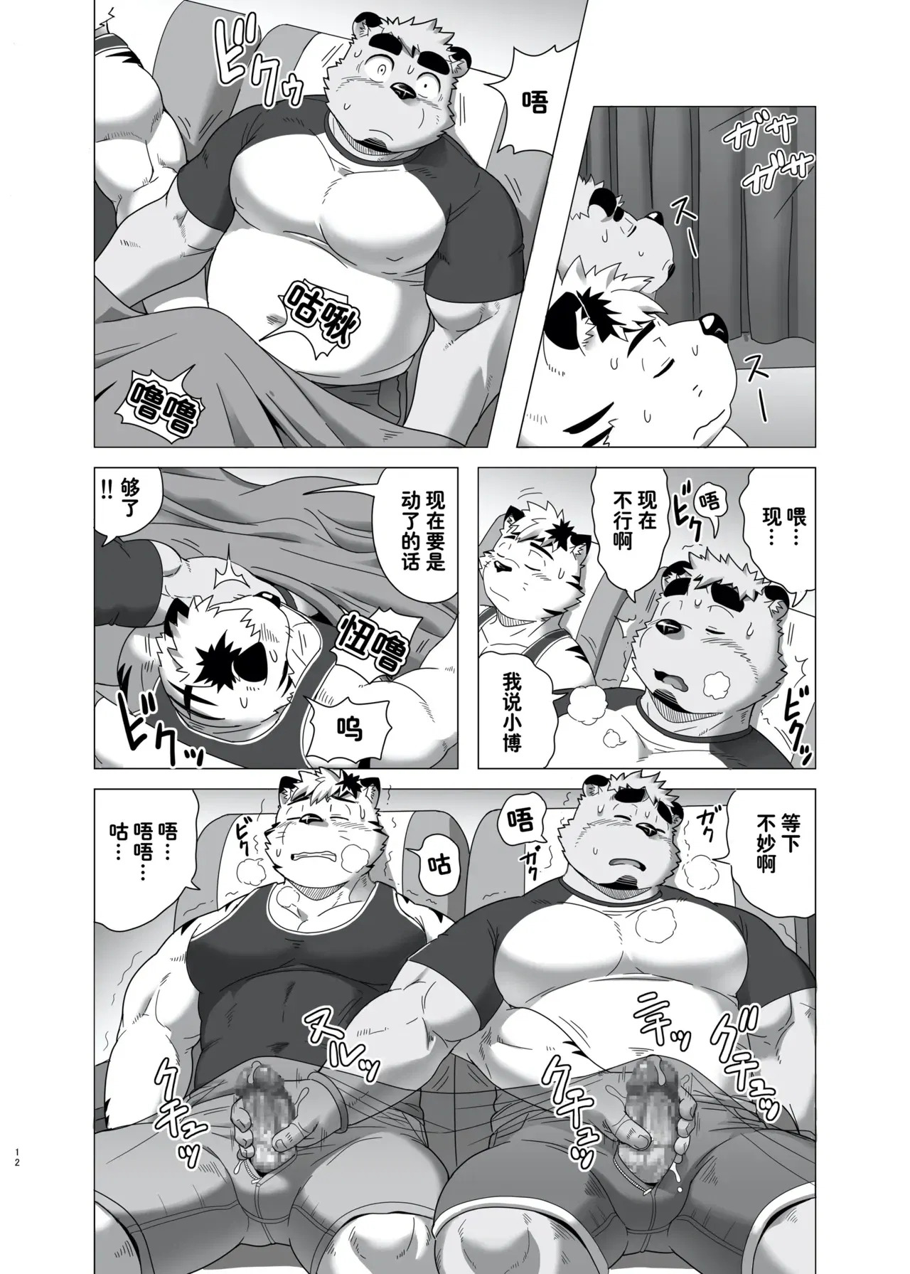Image #12