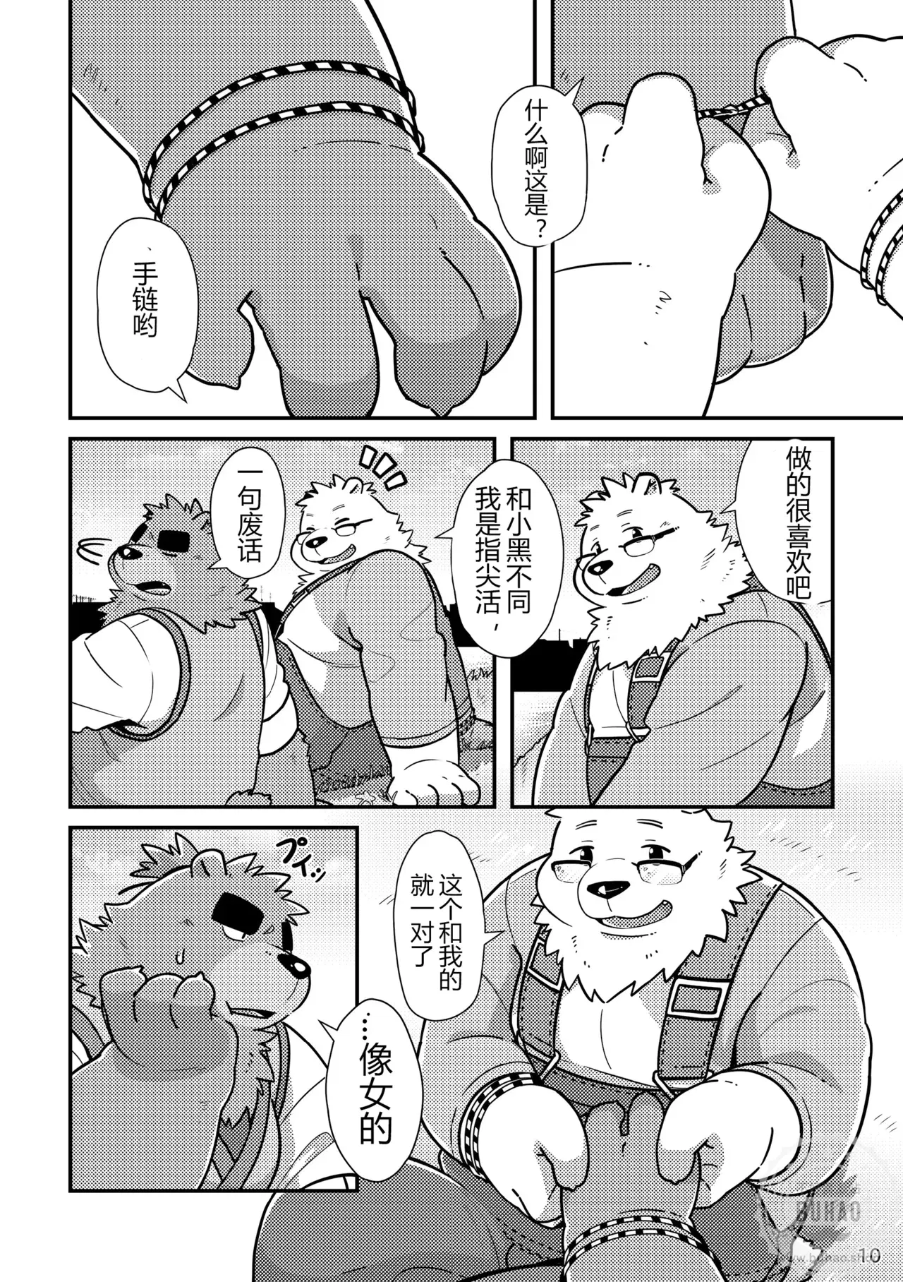 Image #12