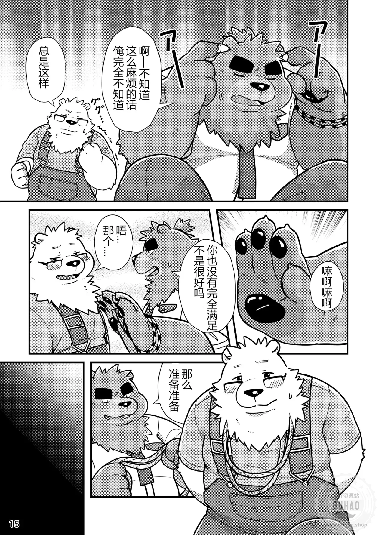 Image #17