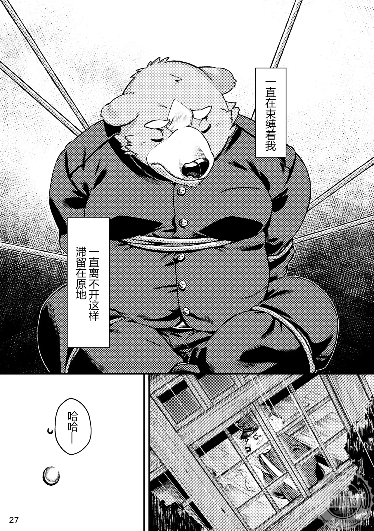 Image #29