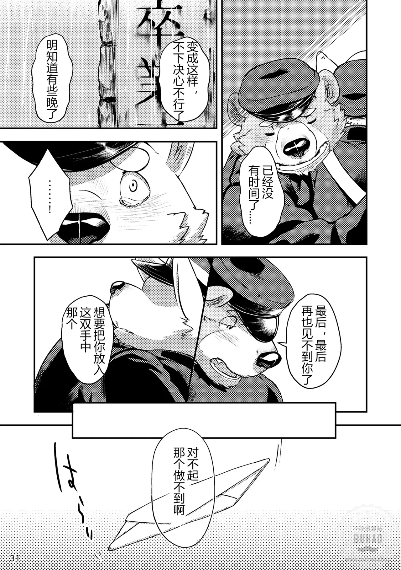 Image #33