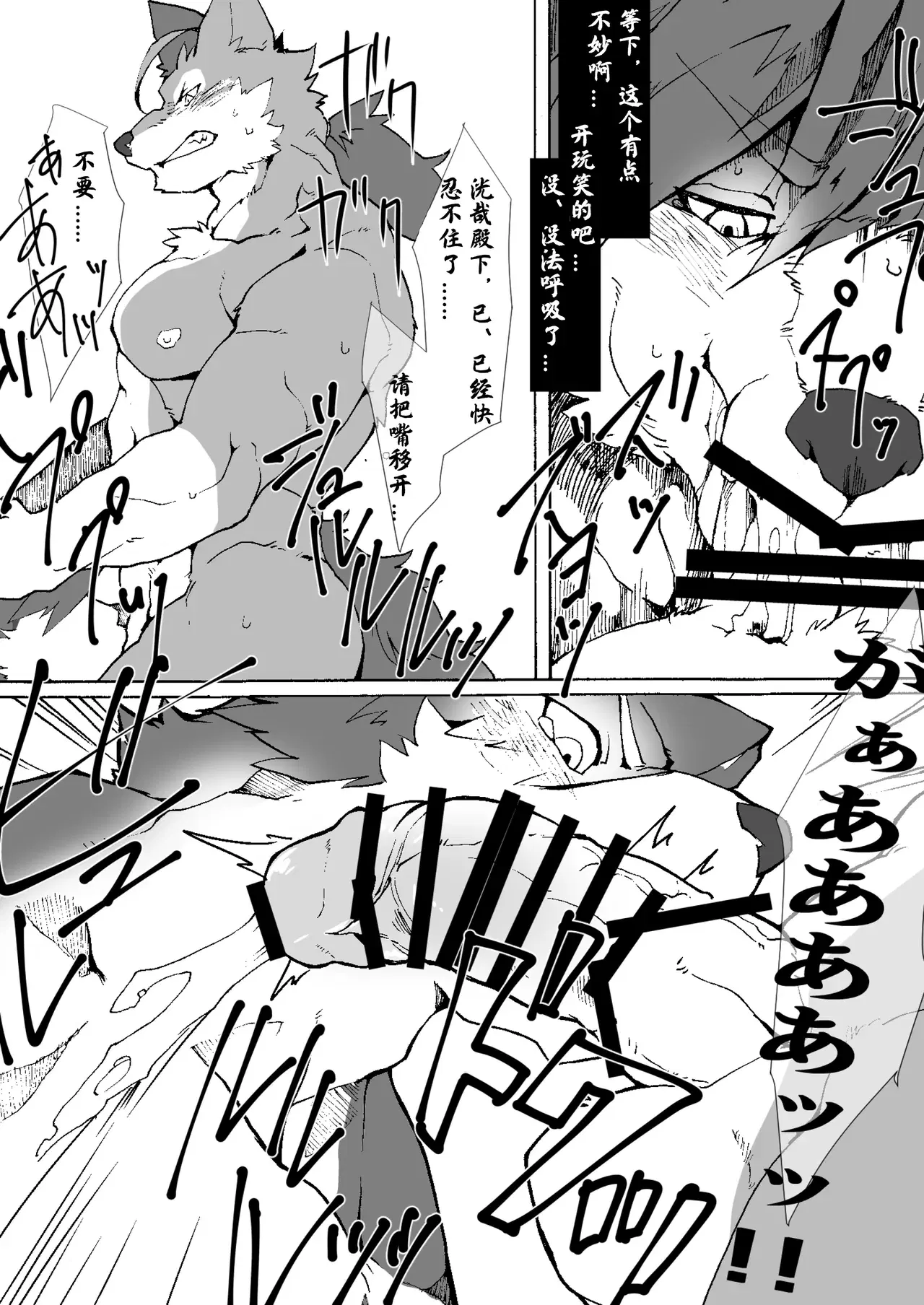 Image #10